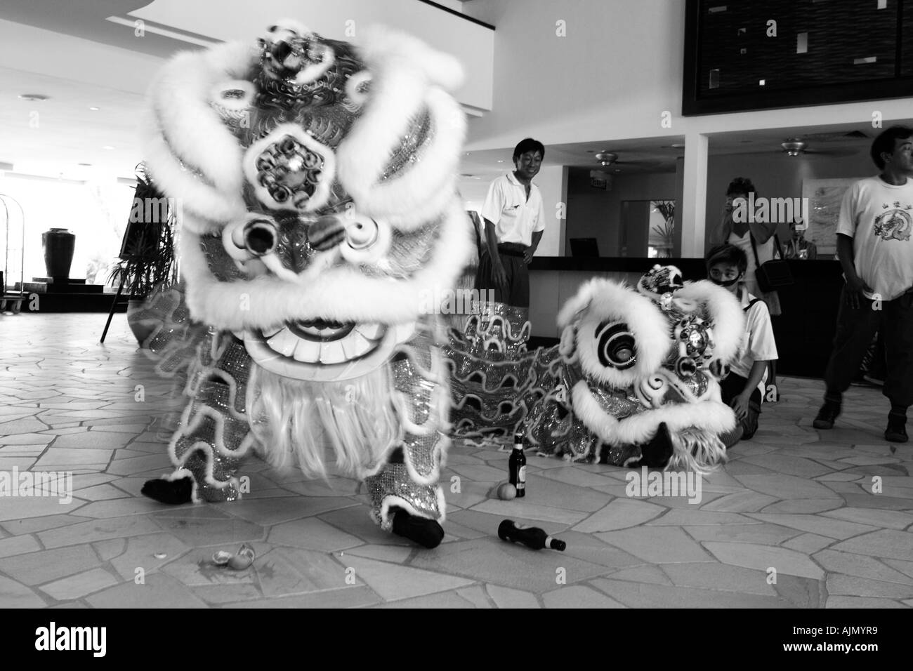 Effectuer les Malaisiens chinois Danse du lion Style du Sud sur le nouvel an chinois. Batu Ferringhi, l'île de Penang, en Malaisie. Banque D'Images