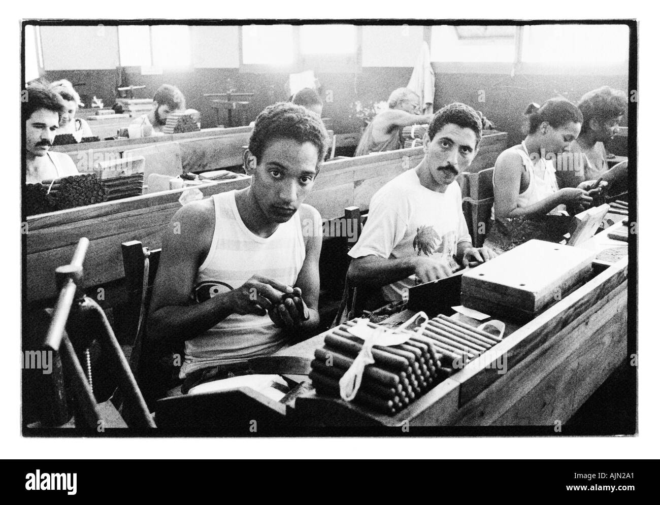 Les hommes de main à rouler des cigares Partagas Cigar Factory Havanna Cuba Banque D'Images