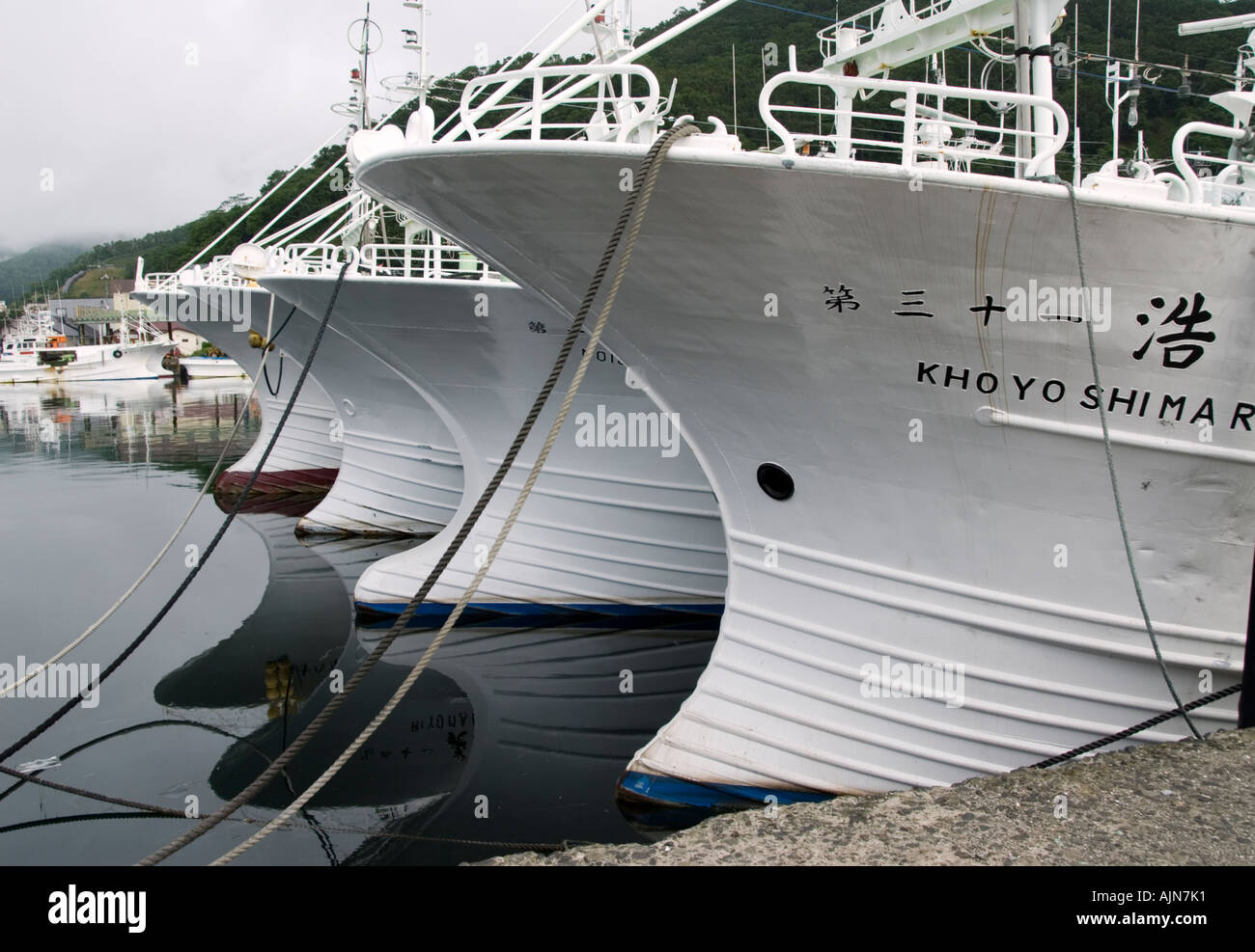 Bateaux de pêche au port de Rausu à côté du Parc National de Shiretoko Hokkaïdo Japon Banque D'Images