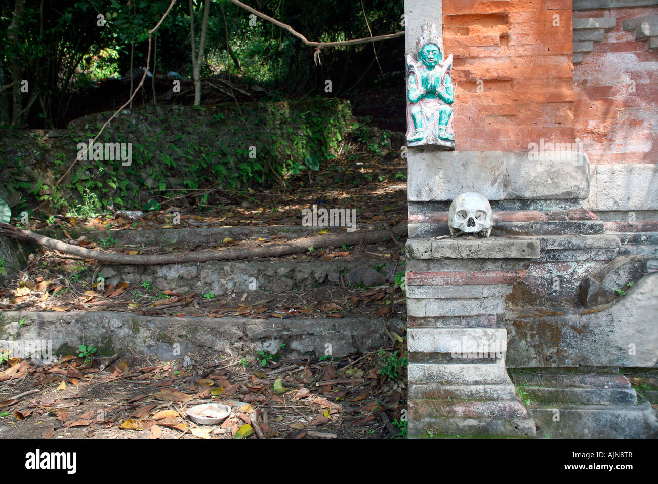 Crâne à Trunyan cimetière au-dessus du sol, Lac Batur, Bali Banque D'Images