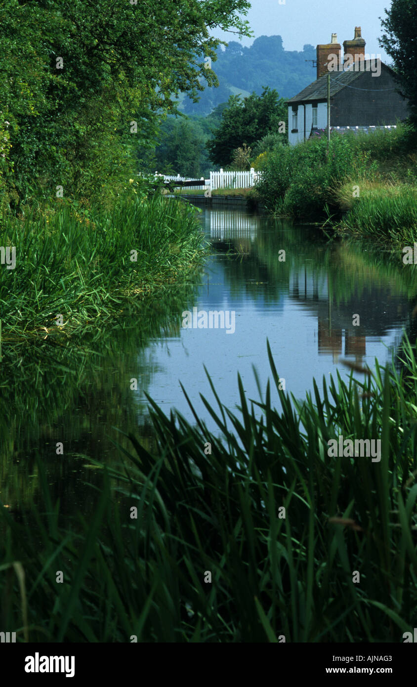 Partie de la Montgomery of Berriew Canal près de verrouillage du fond. Powys, Pays de Galles, Royaume-Uni. Banque D'Images