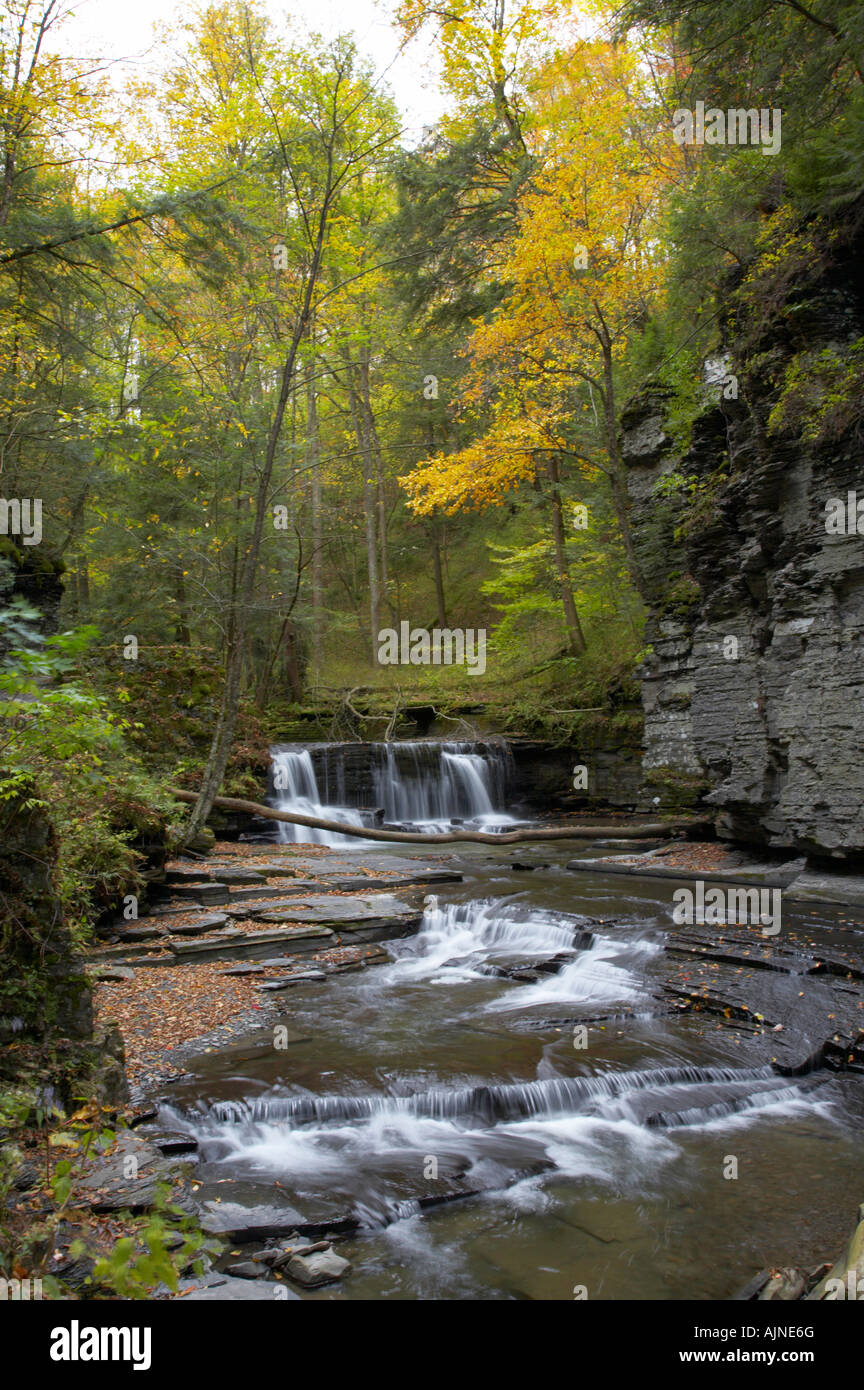 Fillmore Creek et gorge à Fillmore Glen State Park dans la région des lacs Finger de l'État de New York, United States Banque D'Images