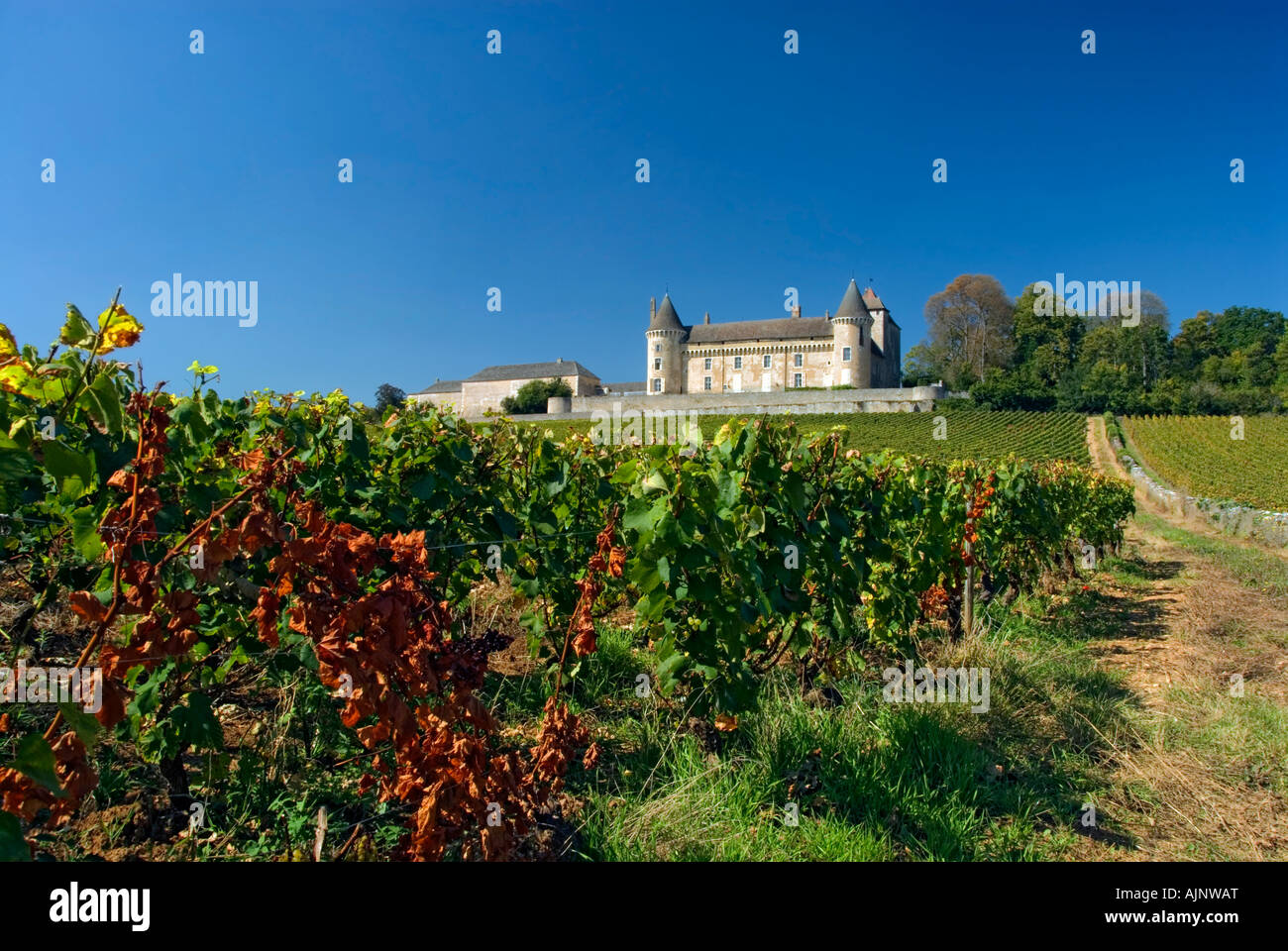 Château de Rully avec vista paysage vignoble d'automne d'Antonin Rodet, Rully, Saône-et-Loire, France. La Côte Chalonnaise Banque D'Images