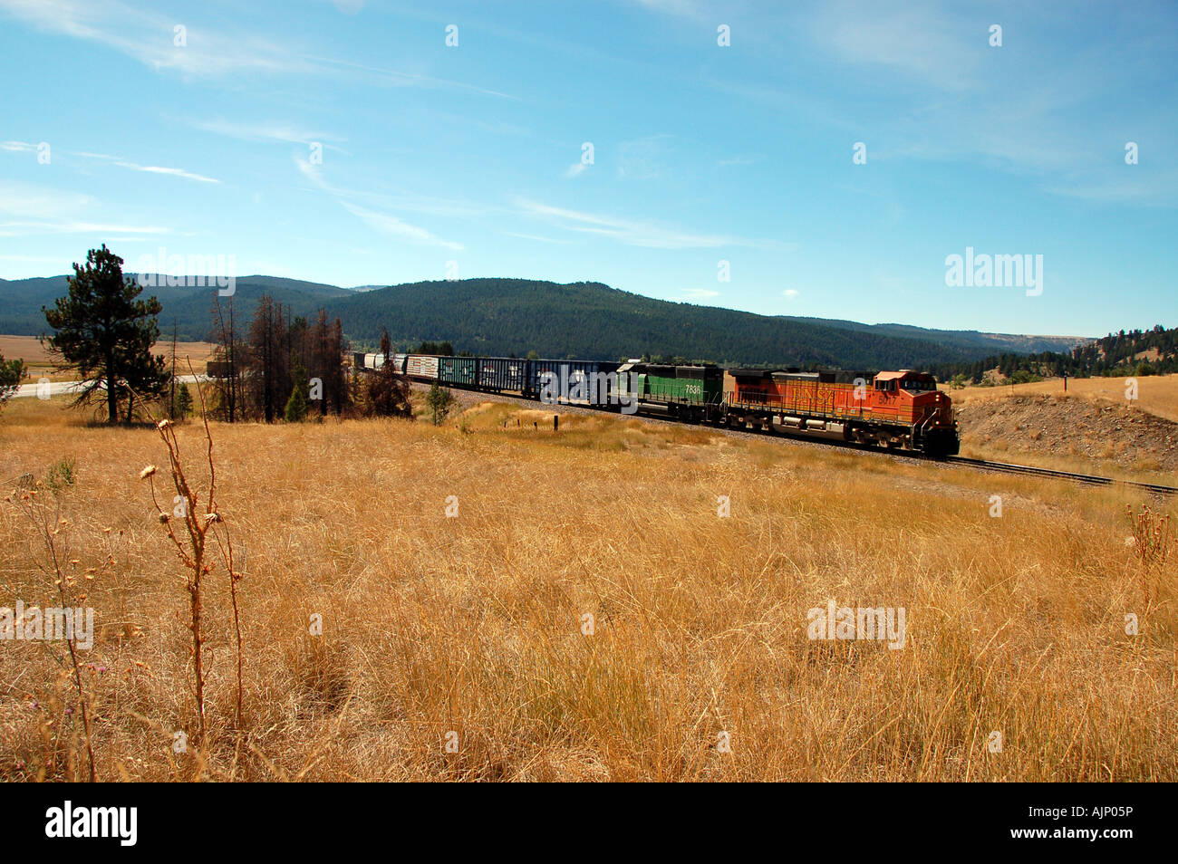 Train de marchandises qui transitent par l'Amérique du Midwest, Montana Banque D'Images