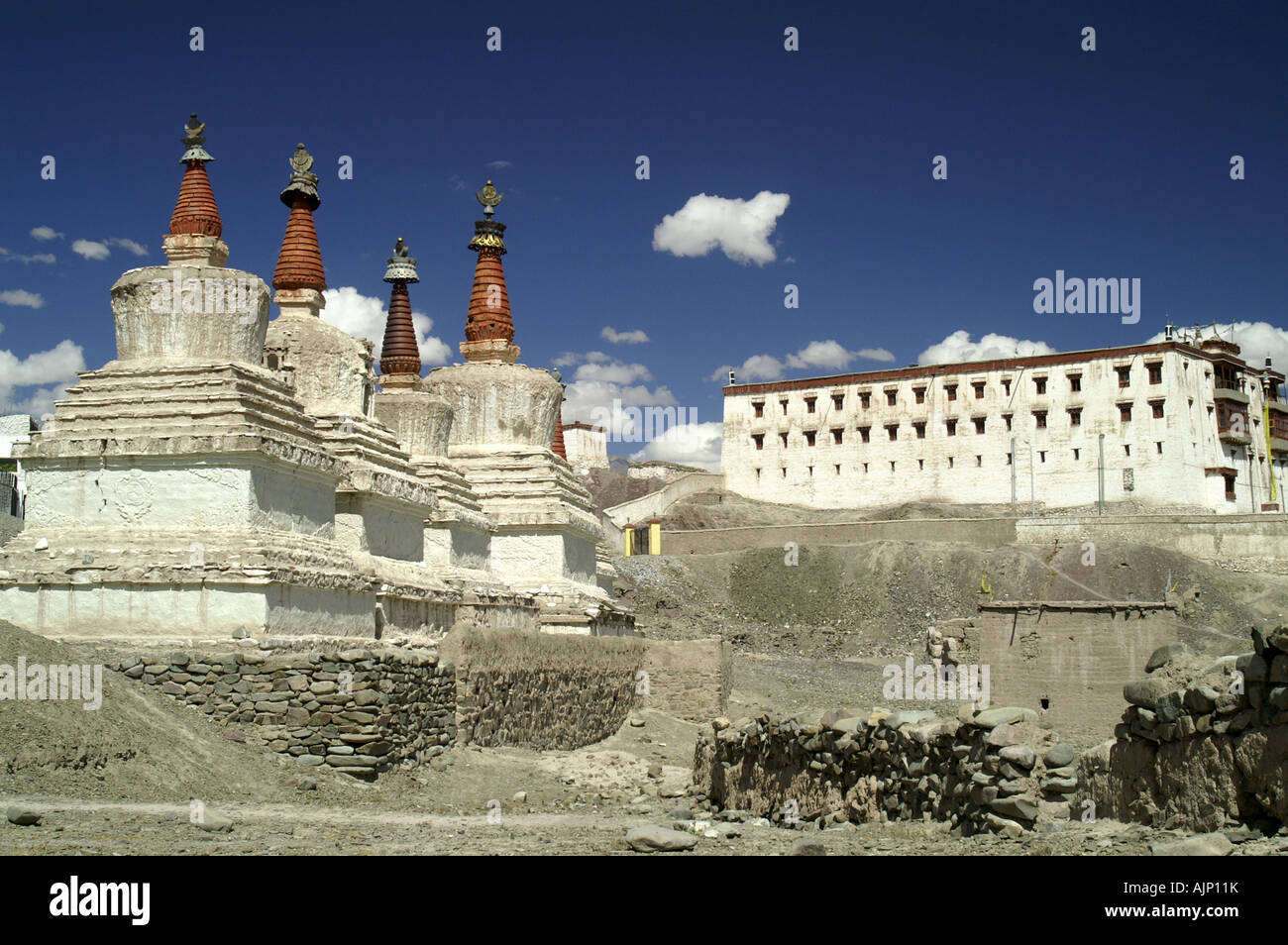 Alignés stupas bouddhistes tibétains blanc de sanctuaires et palais royal de Stok, Ladakh, Inde. Banque D'Images