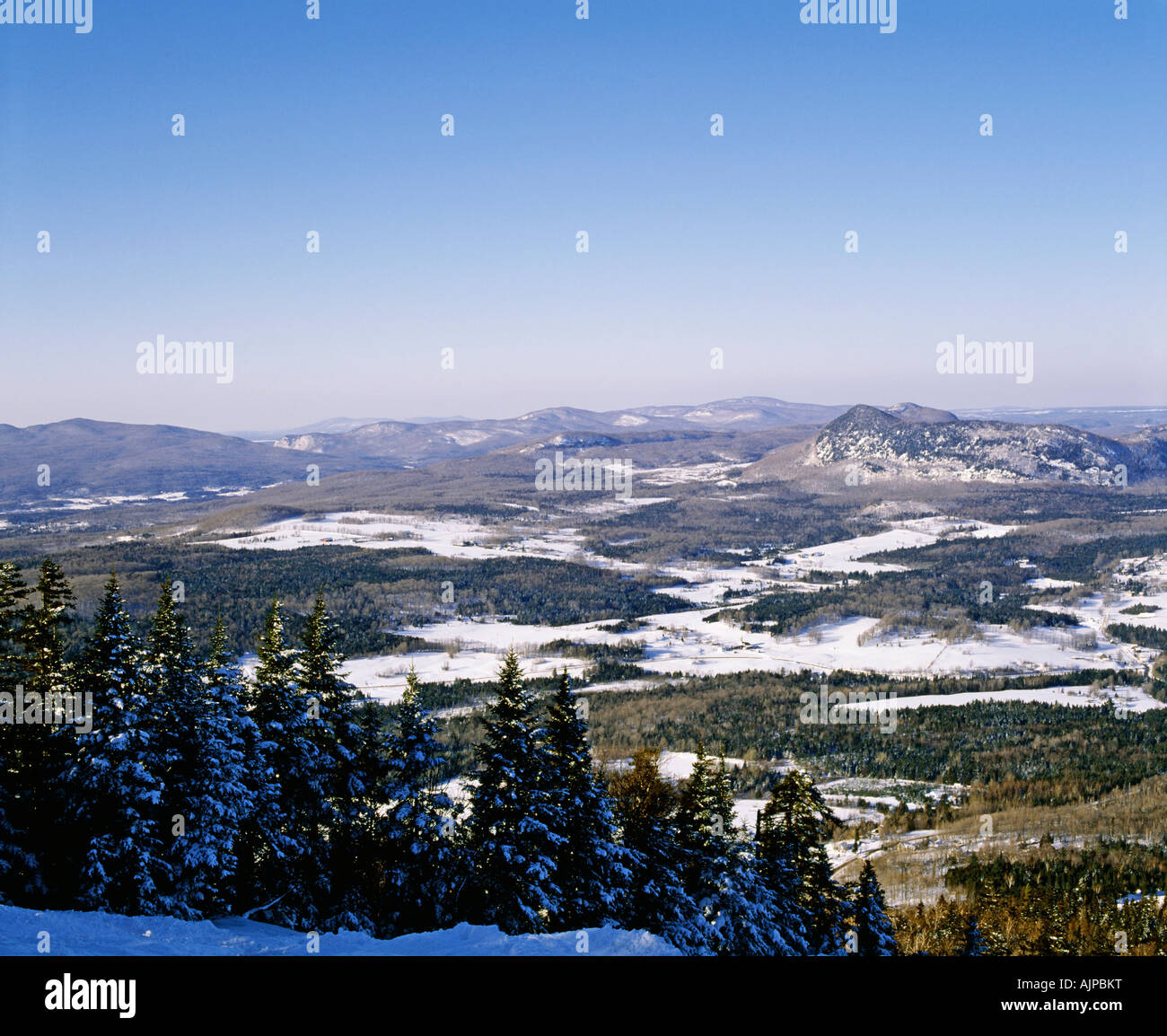 Hills en hiver, Estrie, Québec, Canada Banque D'Images