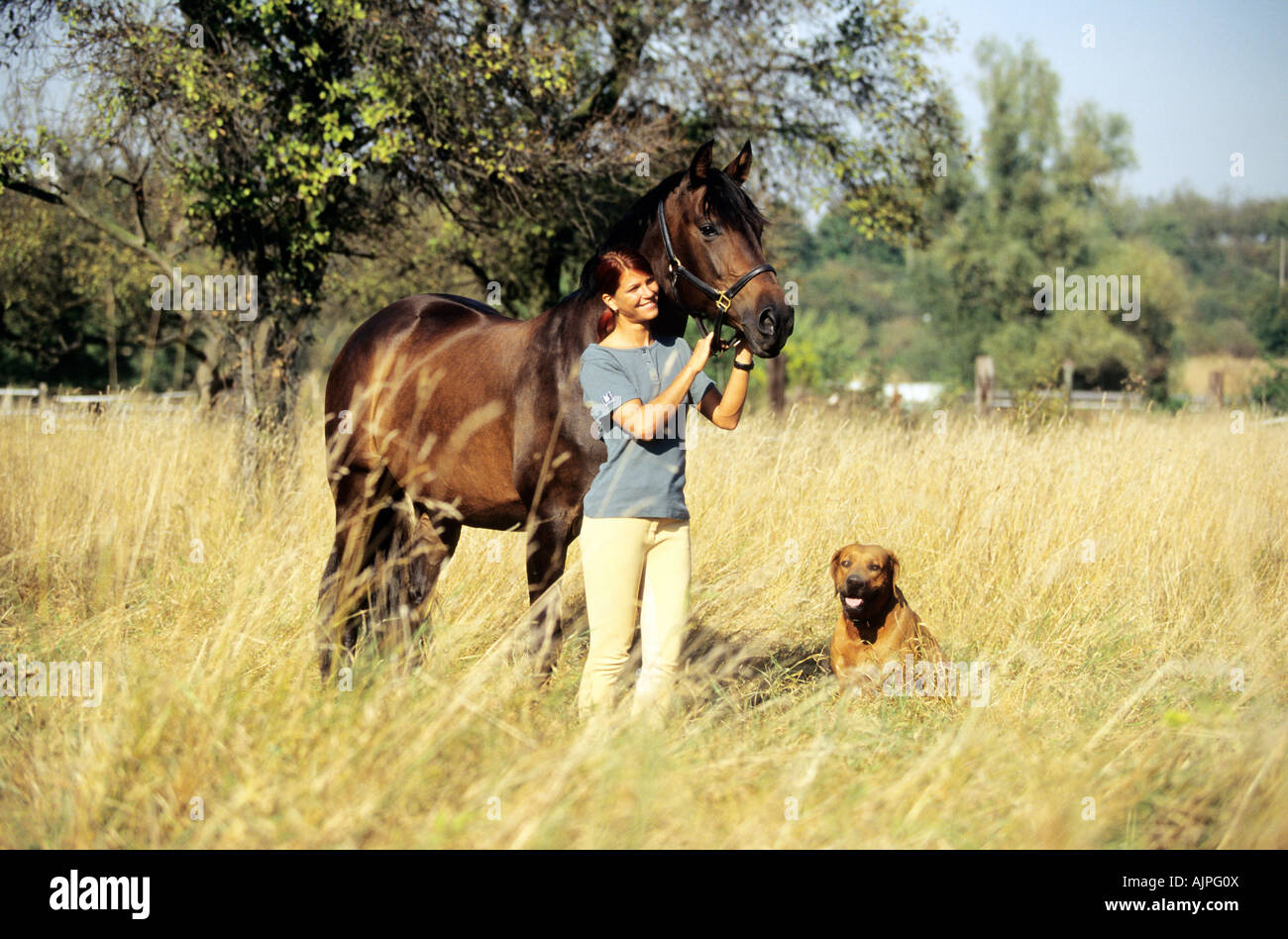 Jeune femme avec un cheval et un chien Banque D'Images