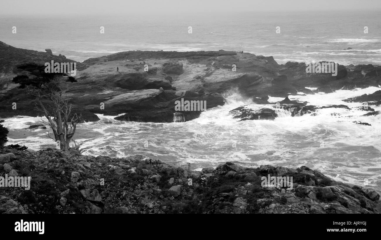 Tempête au moment Lobus Carmel California USA Banque D'Images