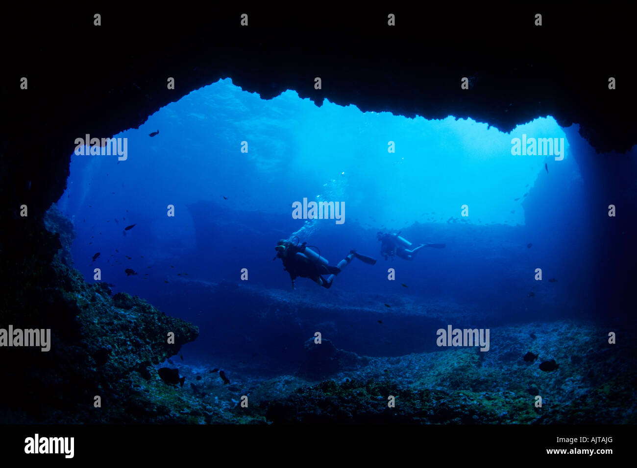 Les amateurs de plongée sous-marine sur une entrée de l'Atlantique Brésil Fernando de Noronha Banque D'Images