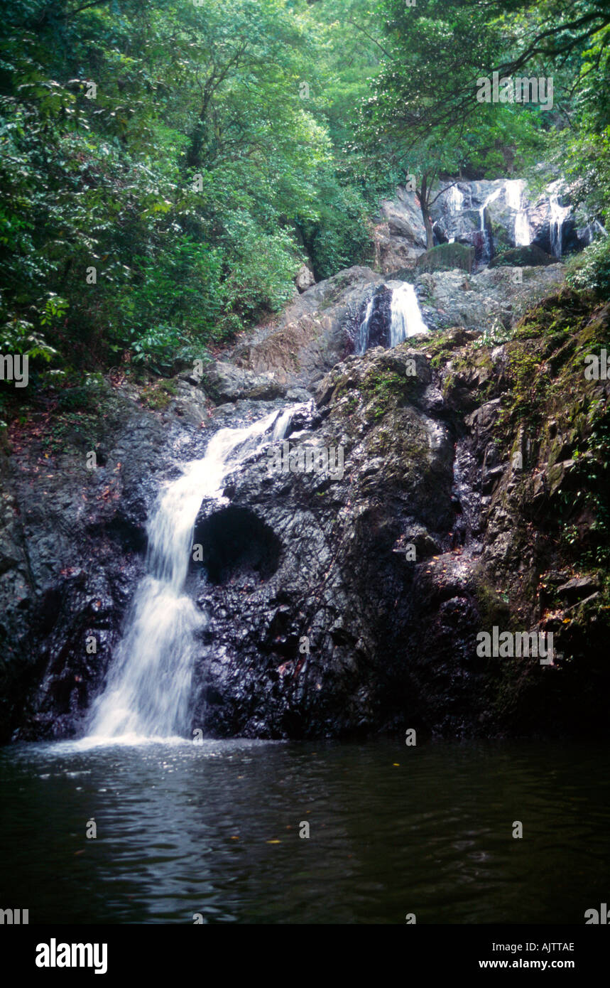 L'Argyll Falls Tobago Rainforest Banque D'Images