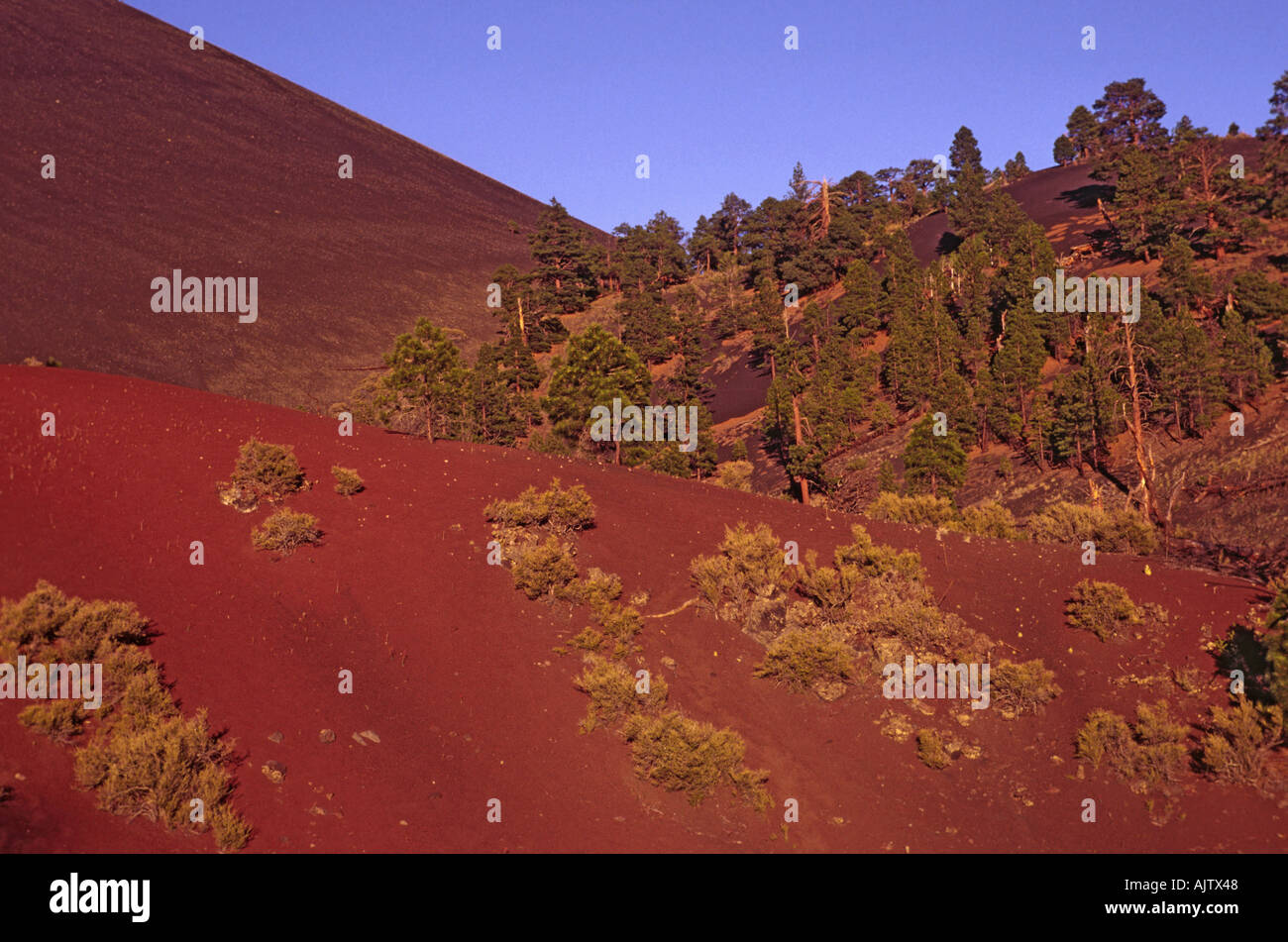 Bonito Lava Flow Field au Sunset Crater Volcano au coucher du soleil, Arizona, États-Unis Banque D'Images