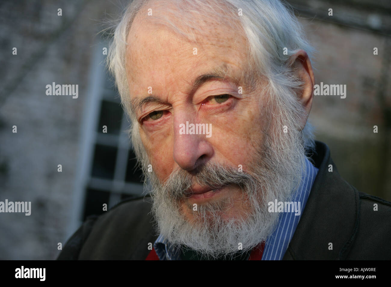 J P Donleavy auteur américain l'Irlande sur la base de l'homme de gingembre  à sa maison irlandaise âgée de 80 ans en 2006 Photo Stock - Alamy