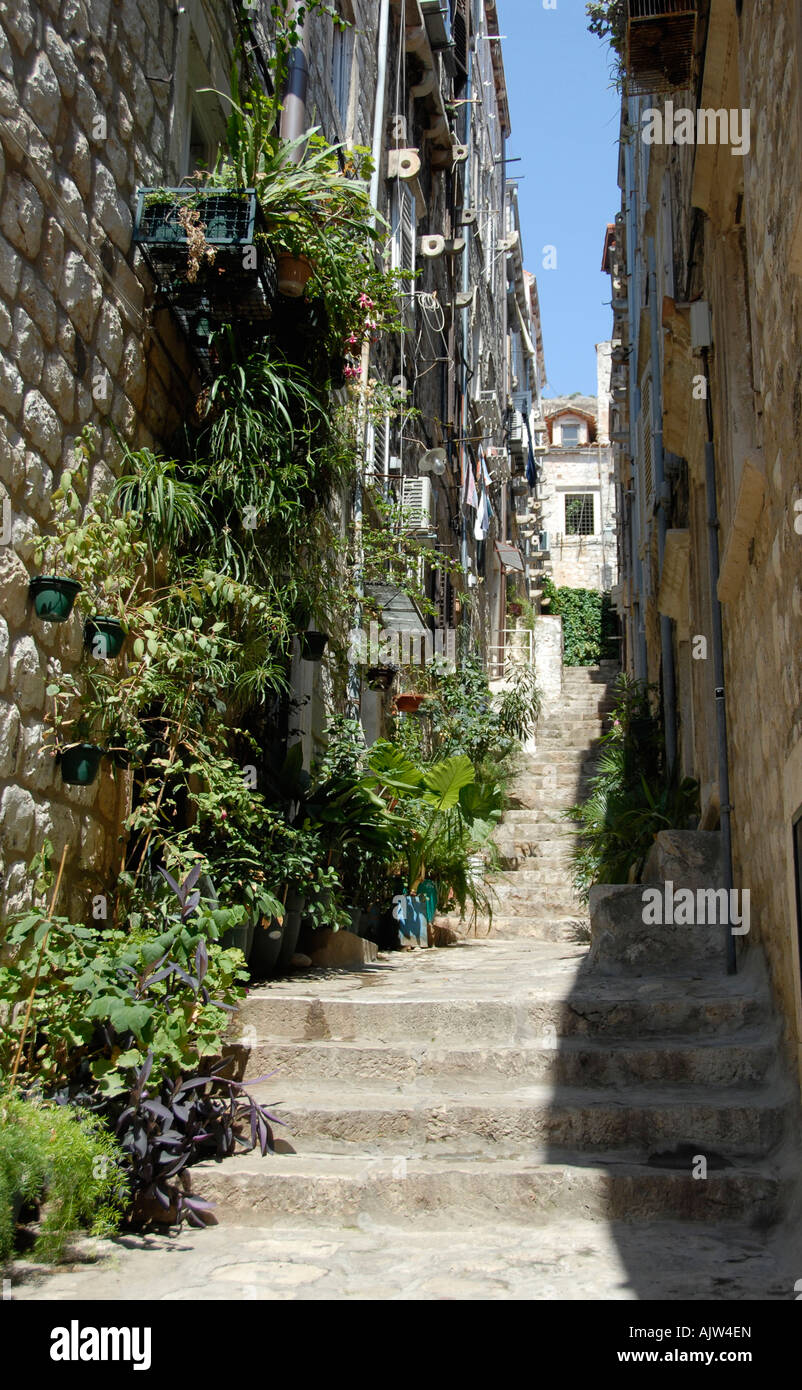 Rue étroite Dubrovnik Istrie Croatie Banque D'Images