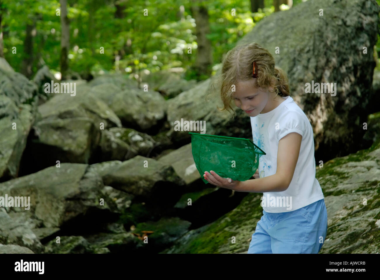 Jeune fille à la recherche du bénéfice net pour les animaux aquatiques à un ruisseau Banque D'Images