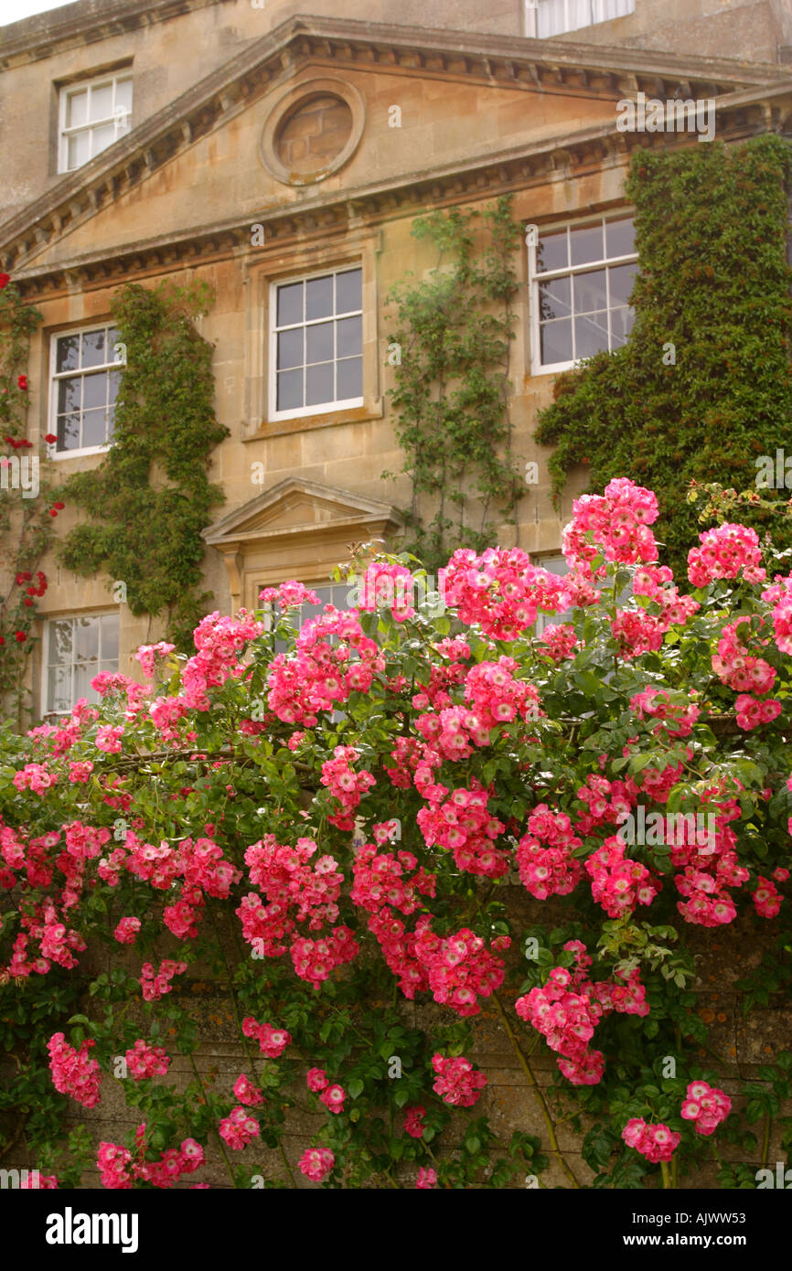 Pays Classial façade de lierre et de roses Banque D'Images