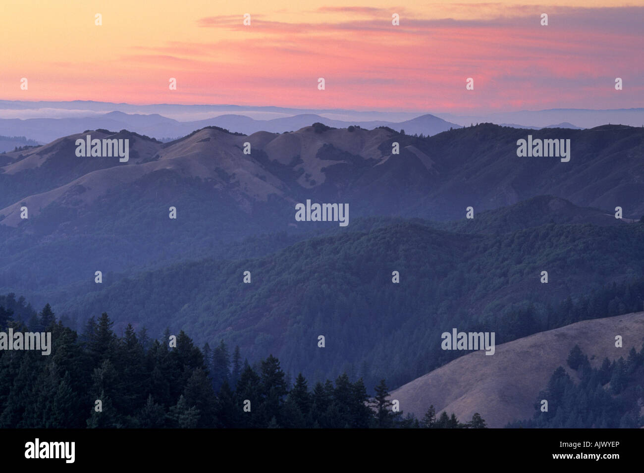 Coucher de soleil sur les pentes du Mont Tamalpais State Park, comté de Marin, en Californie, USA Banque D'Images