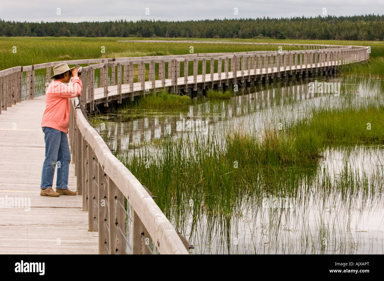 Plus de promenade avec étang Bowley visiteur, Prince Edward Island National Park (Greenwich) Banque D'Images