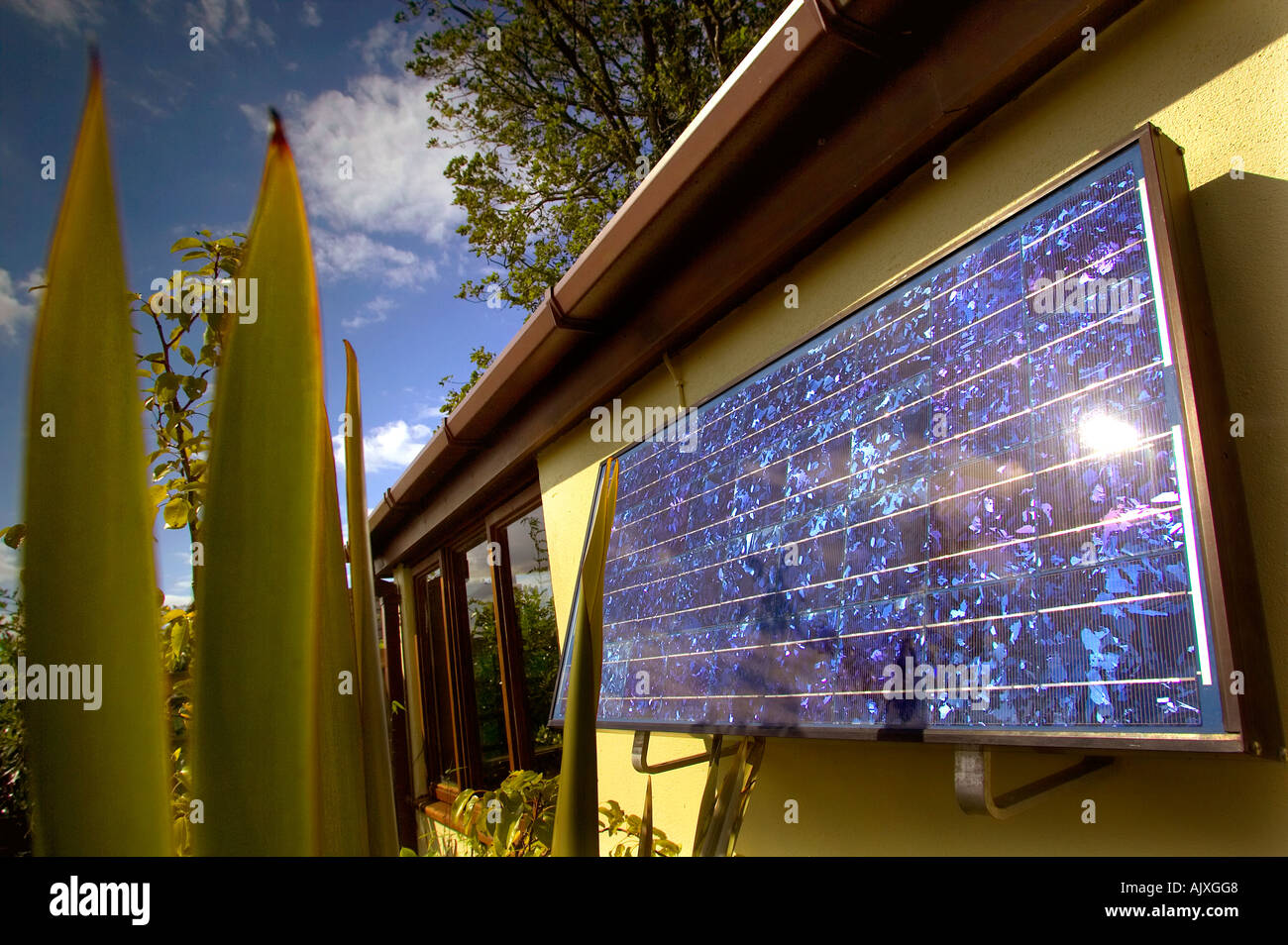 Panneau solaire sur un garage dans le Devon, en Angleterre. Banque D'Images