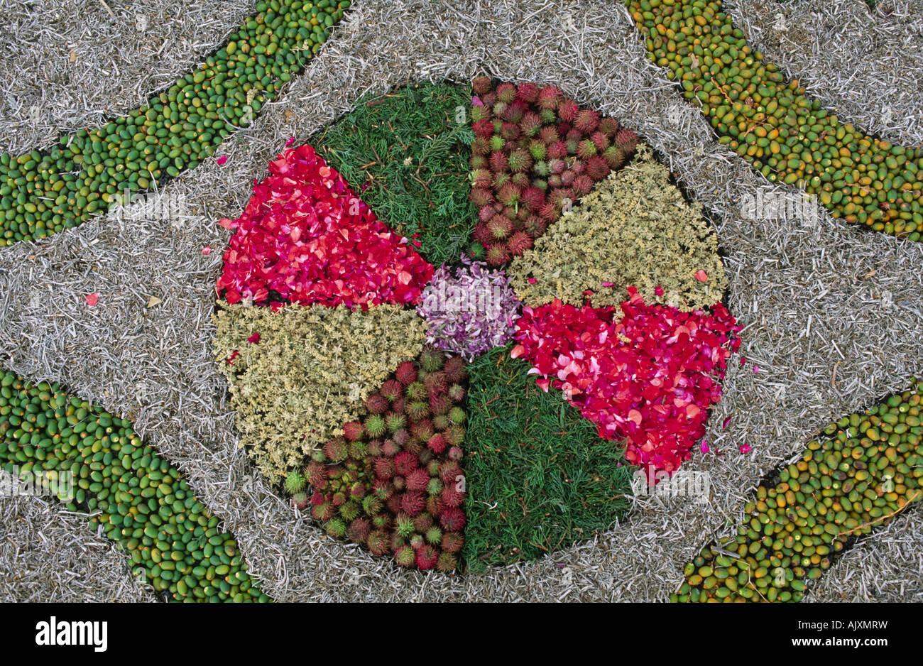 Détail d'un tapis de fleurs pour Corpus Christi Mazo La Palma Canaries Espagne Banque D'Images