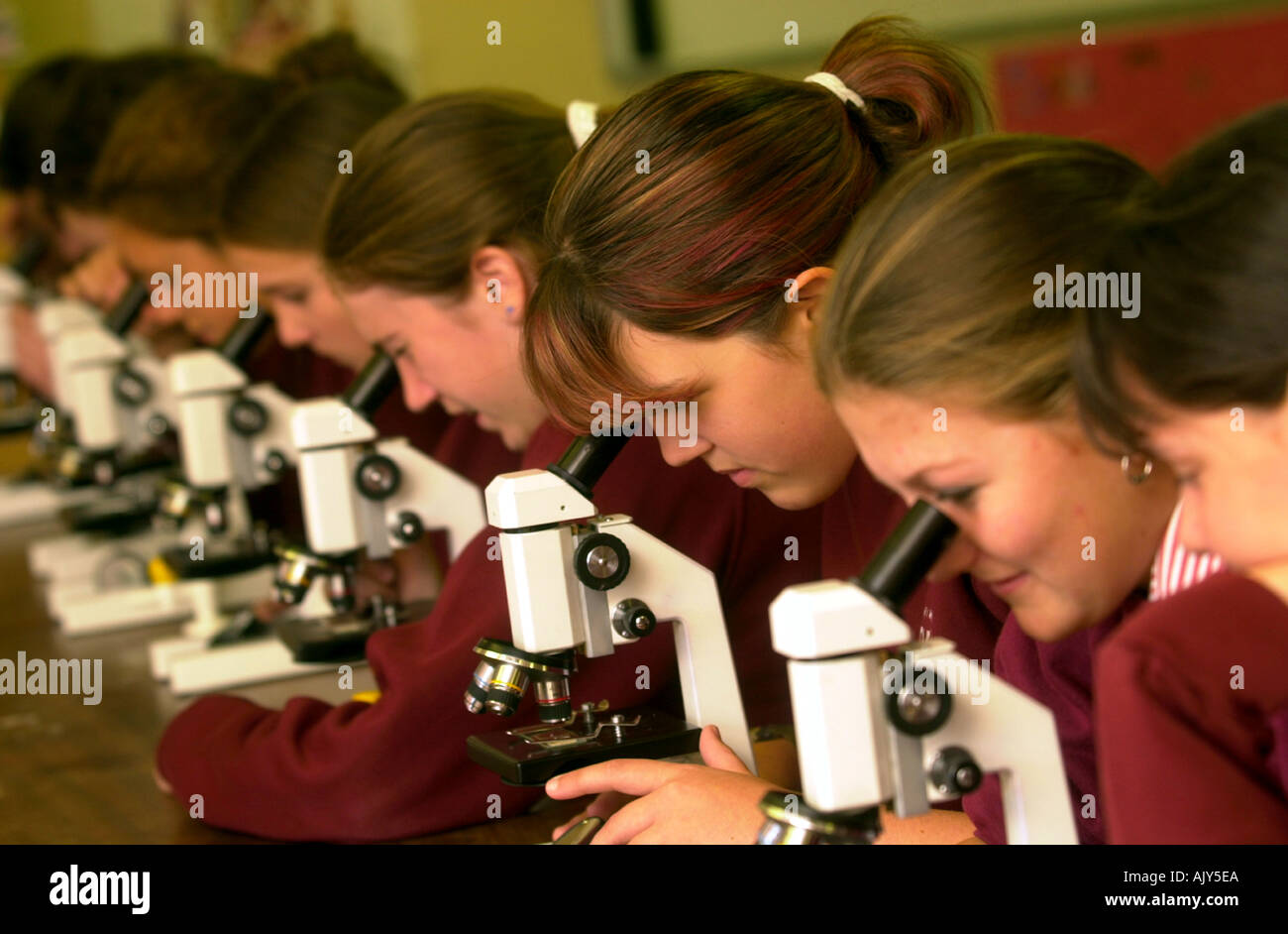 L'ANNÉE 10 ÉLÈVES D'UNE CLASSE DE SCIENCES À STROUD HIGH SCHOOL FOR GIRLS GLOUCESTERSHIRE UK Banque D'Images