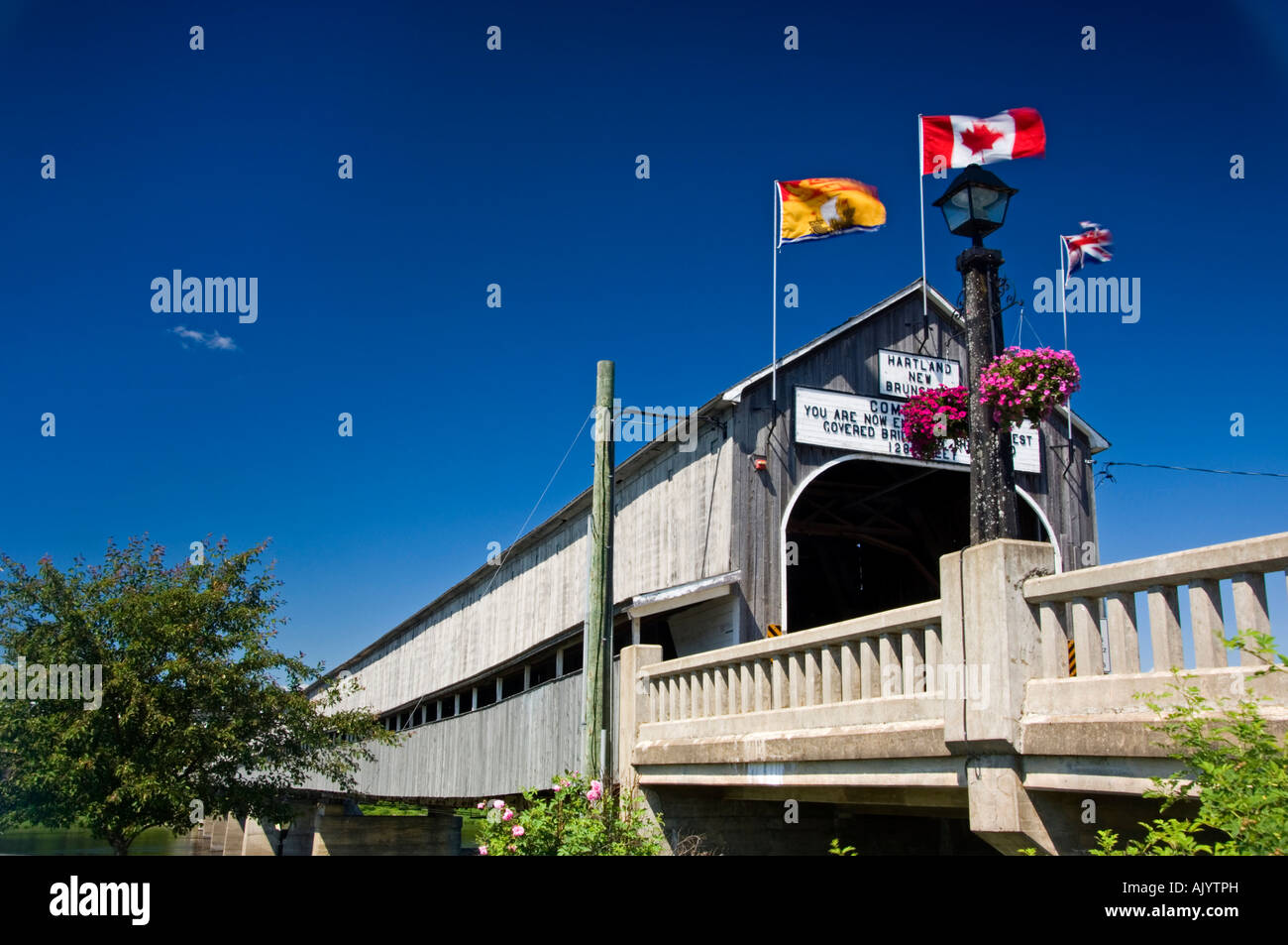 Pont couvert de Hartland, le plus long du monde, Hartland, NB, Canada Banque D'Images