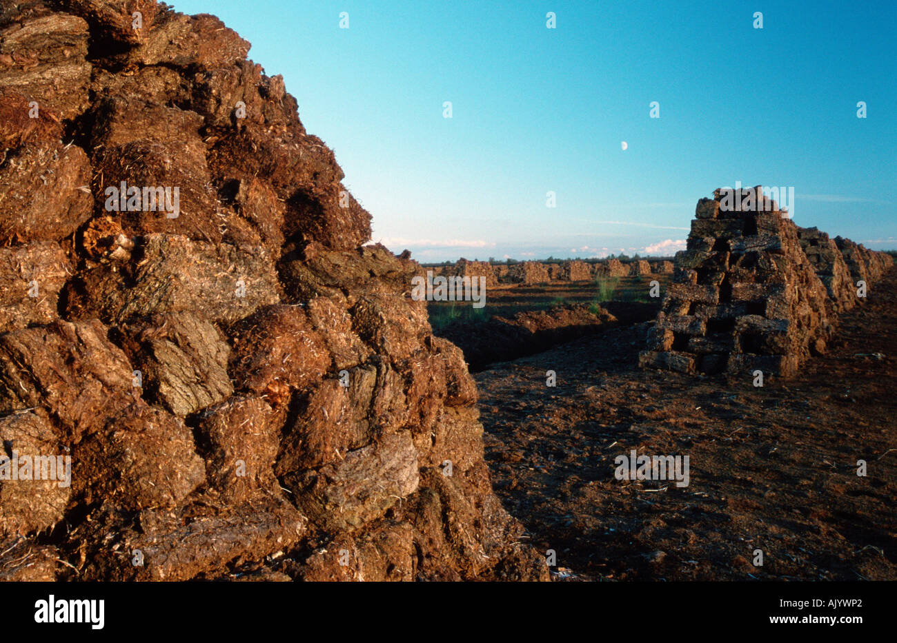 Des piles de la tourbe Torf / Torfsoden / Gestochener Banque D'Images
