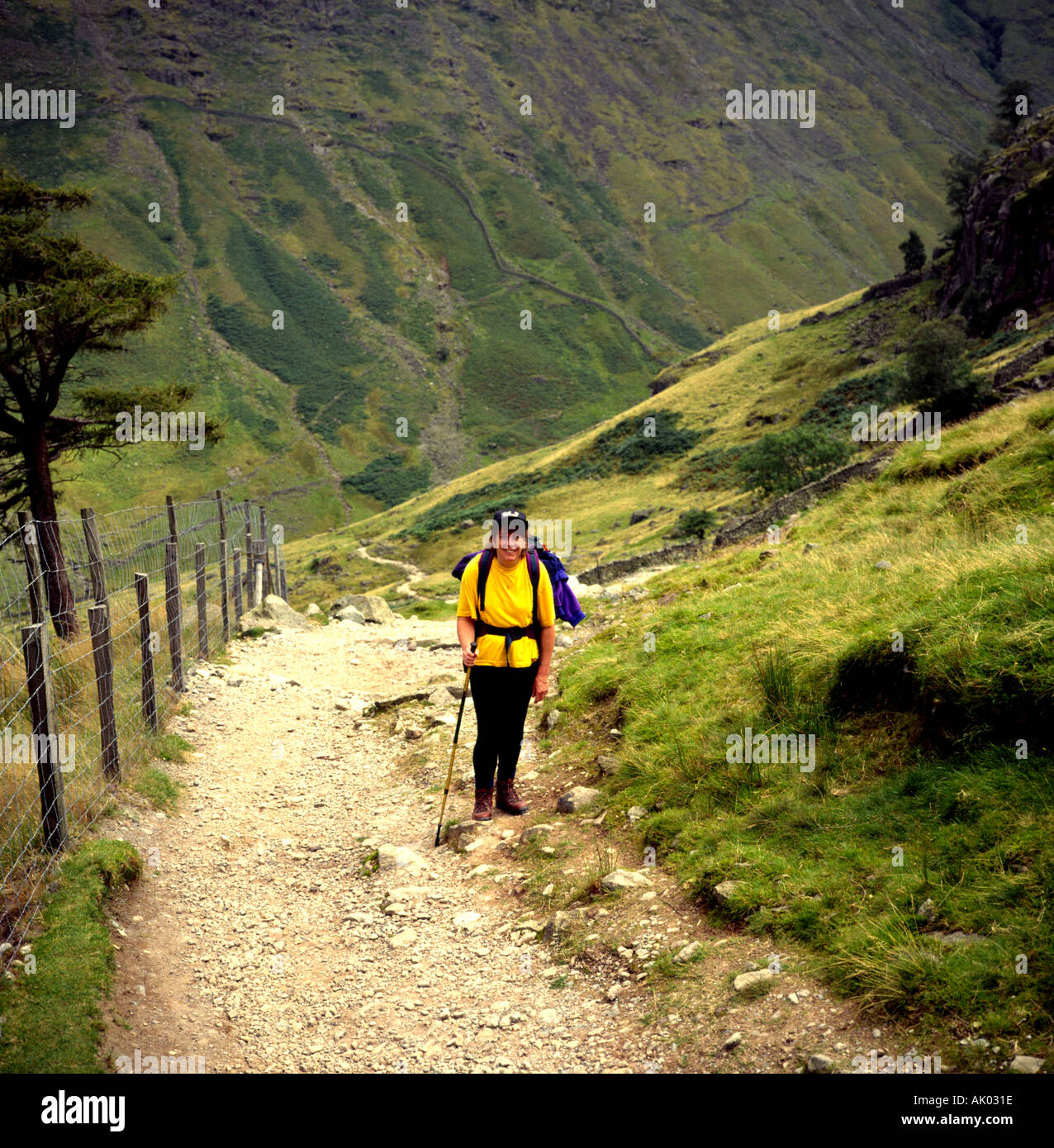 Parc National de Lake District Cumbria England UK Banque D'Images