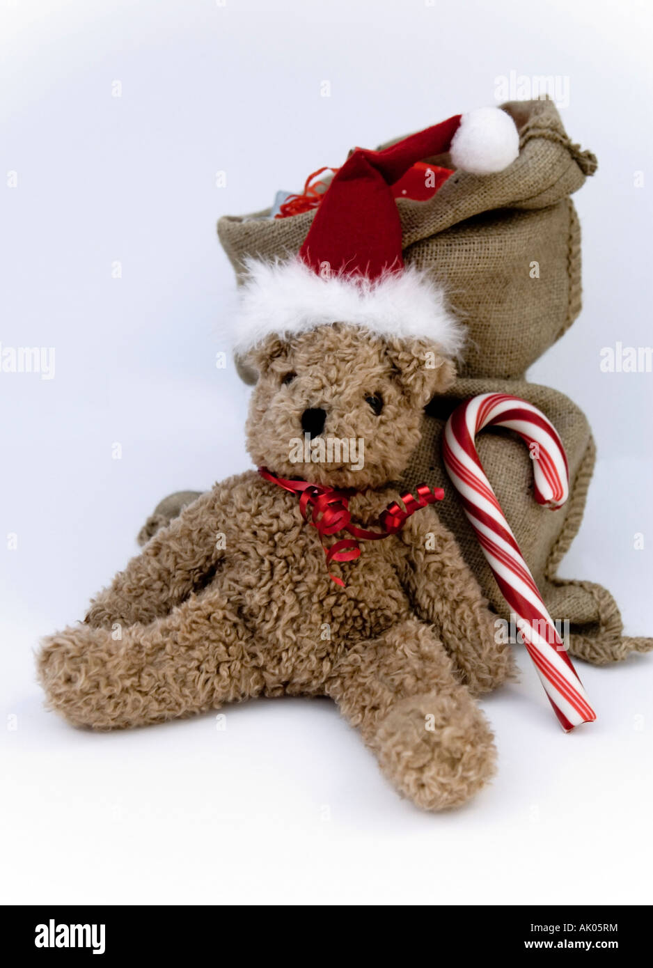 Ours en peluche de Noël traditionnel Banque D'Images