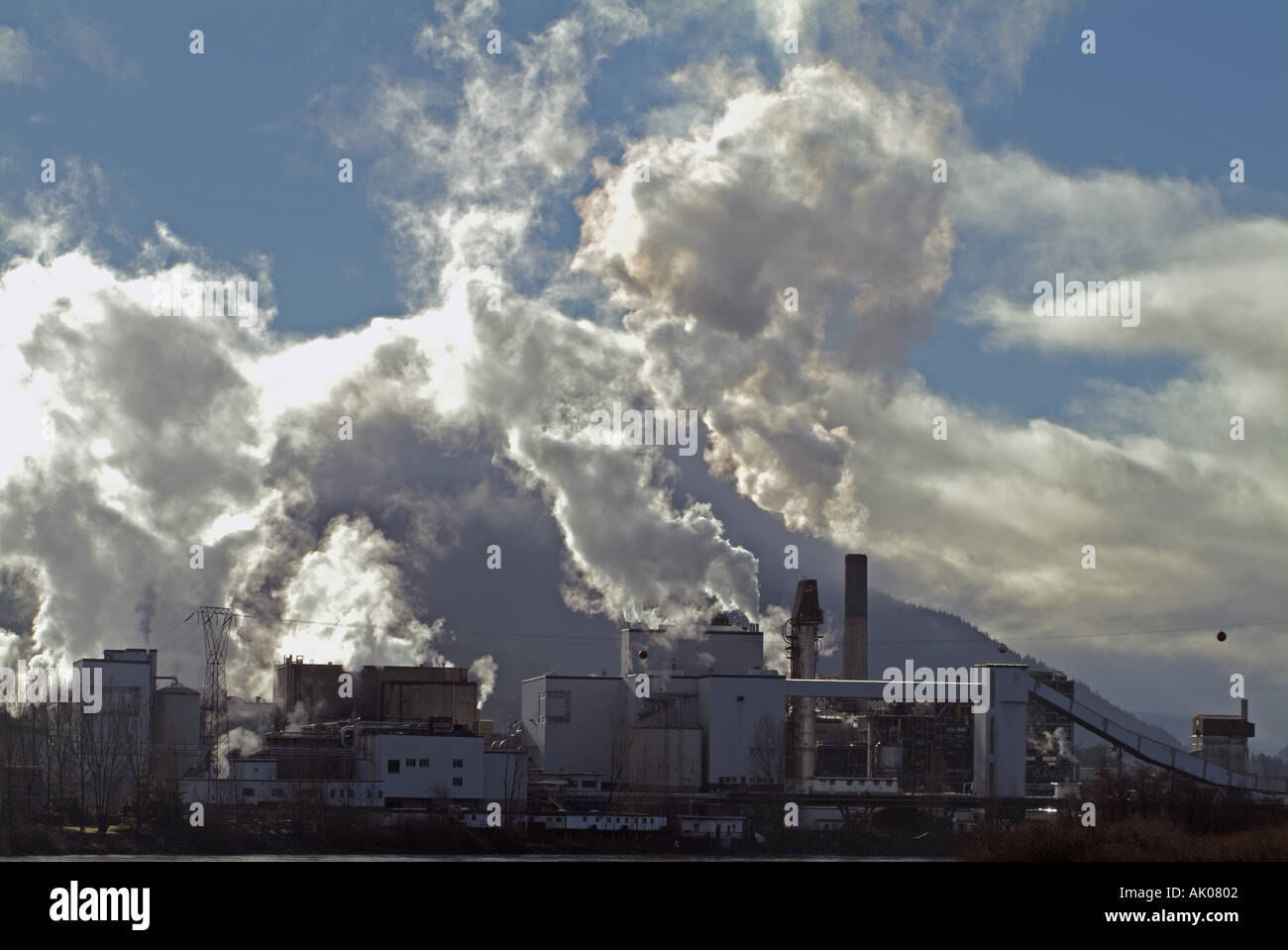 La fumée de l'usine de pâtes et papiers de la Colombie-Britannique Canada les émissions de cheminée Banque D'Images