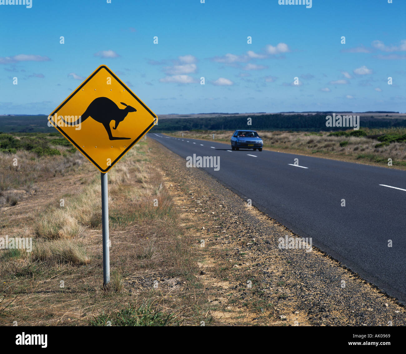 Avertissement Kangourou Roadsign Great Ocean Road Victoria Australie Banque D'Images