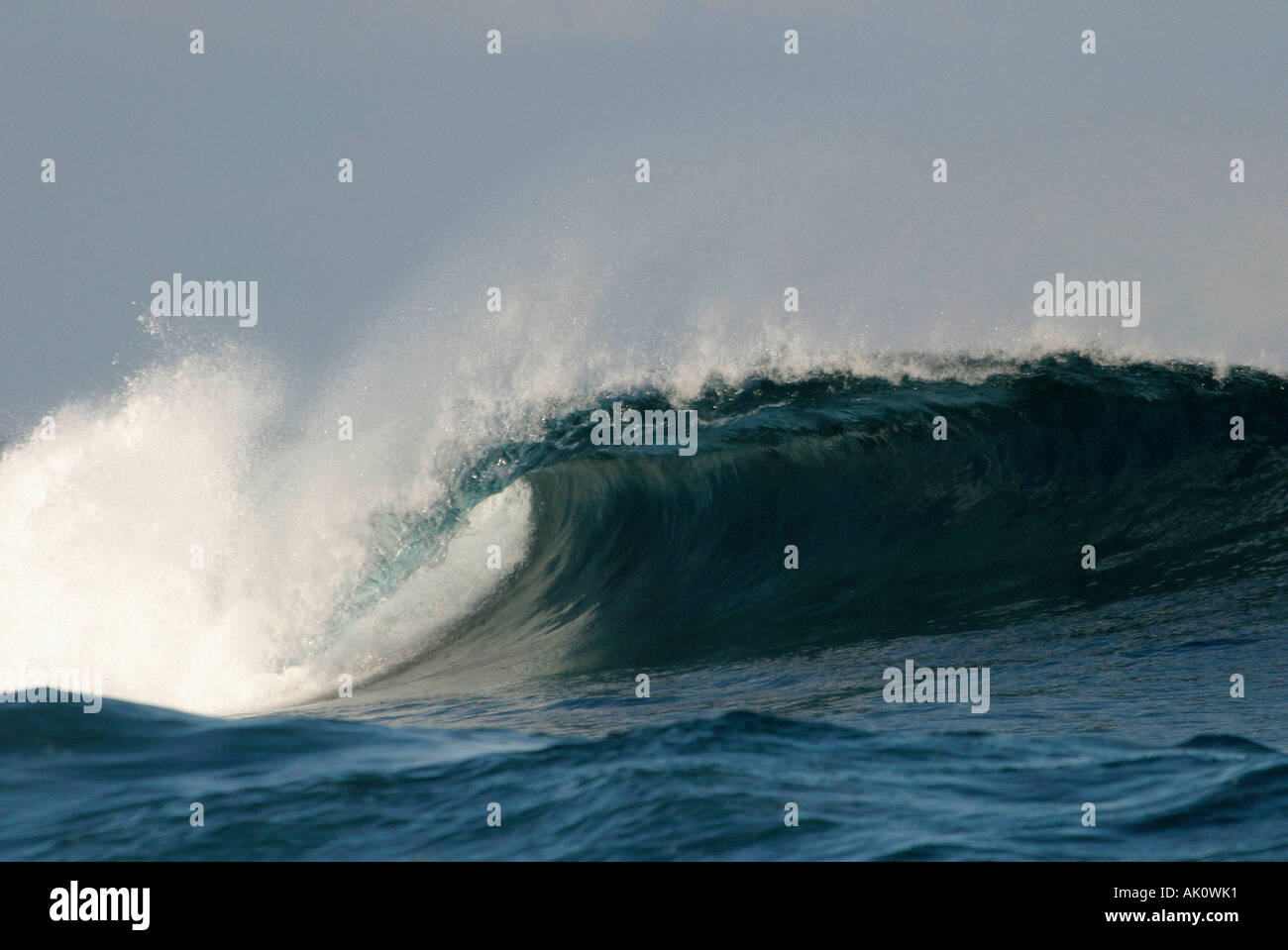 Vagues / Surf / Wellen / Brandung Banque D'Images