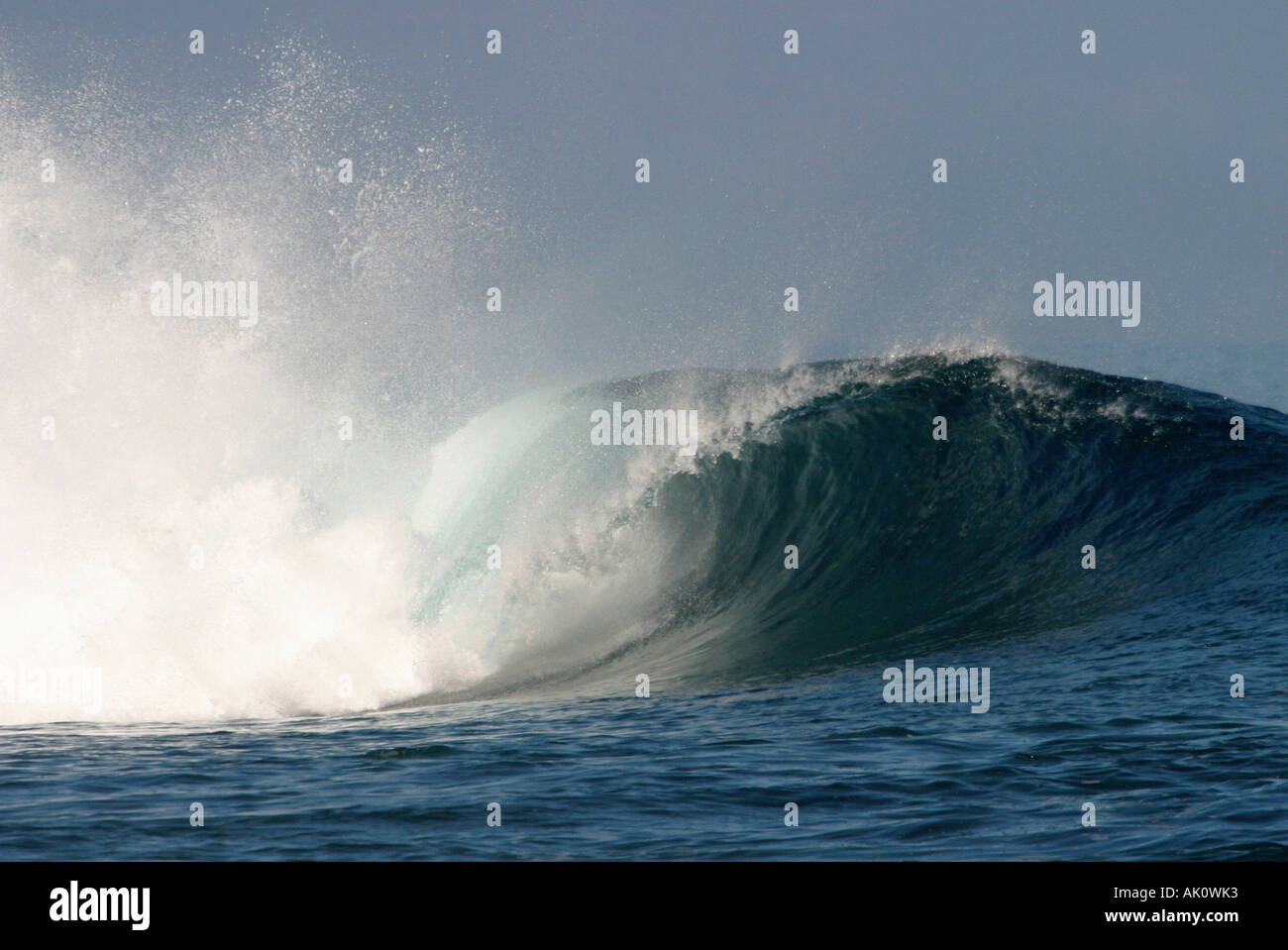 Vagues / Surf / Wellen / Brandung Banque D'Images