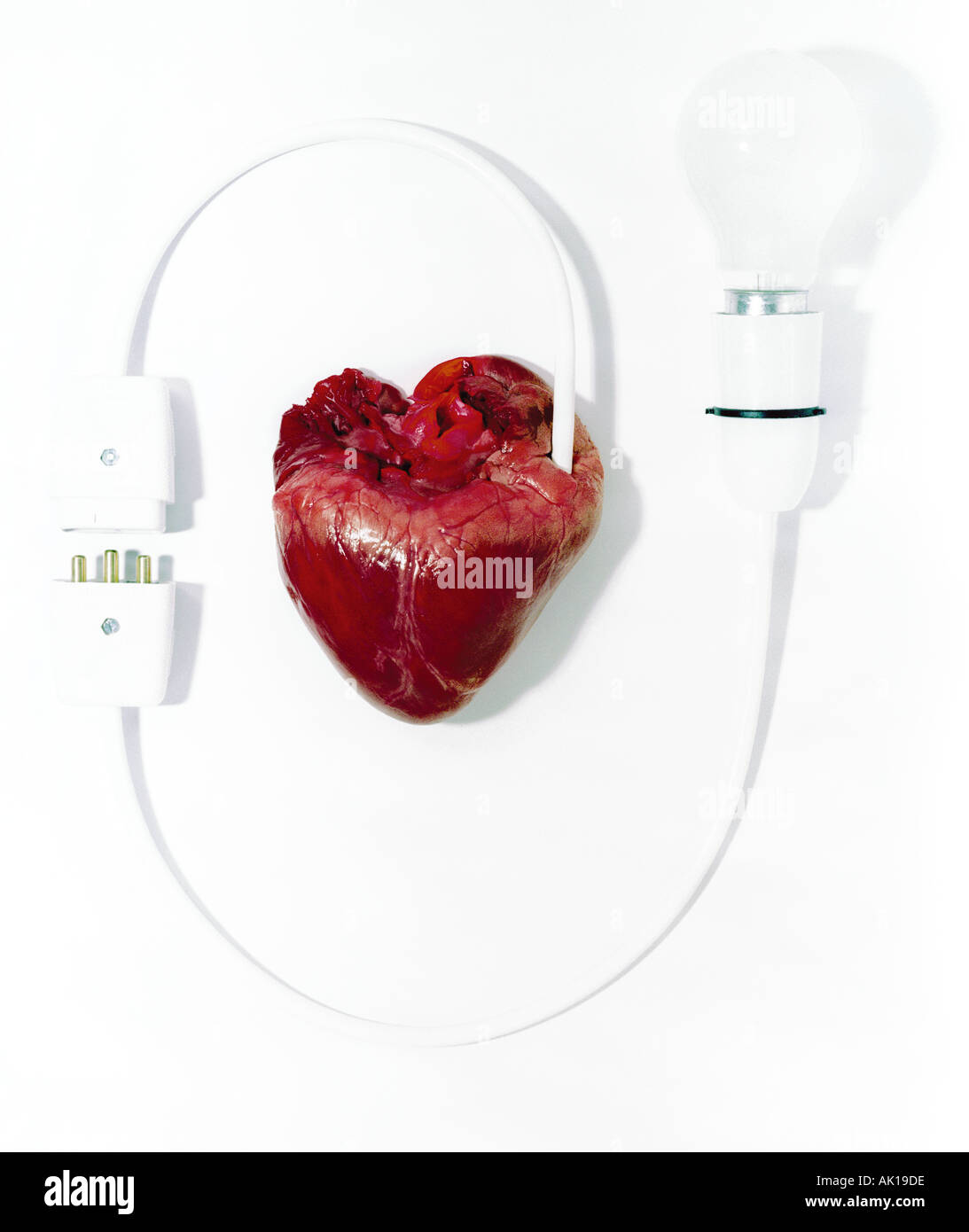 L'image 6 de la naissance le mercredi collection par Theo Chalmers Banque D'Images