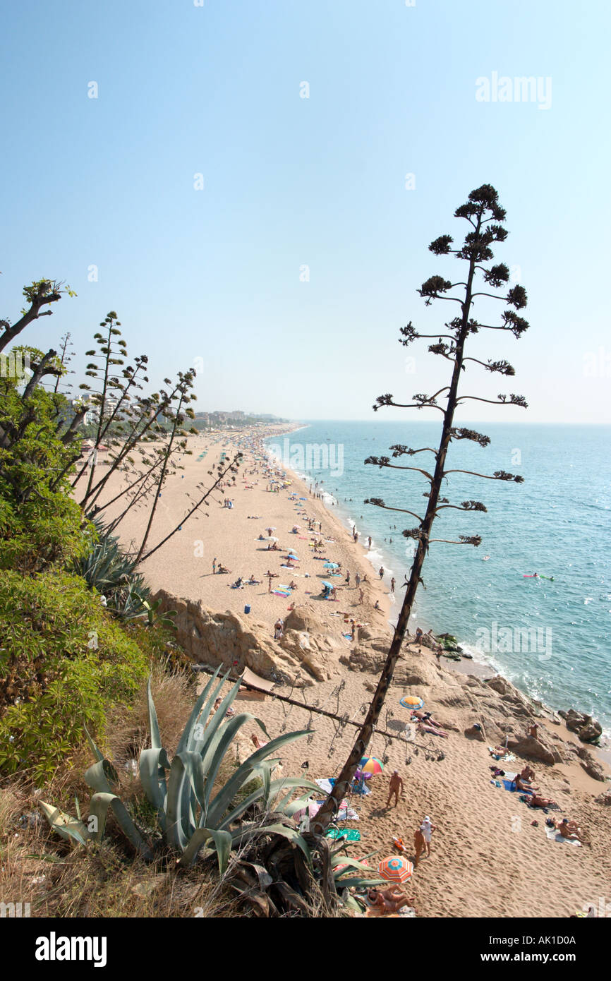 Vue sur la plage de Calella, Costa Brava, Catalogne, Espagne Banque D'Images