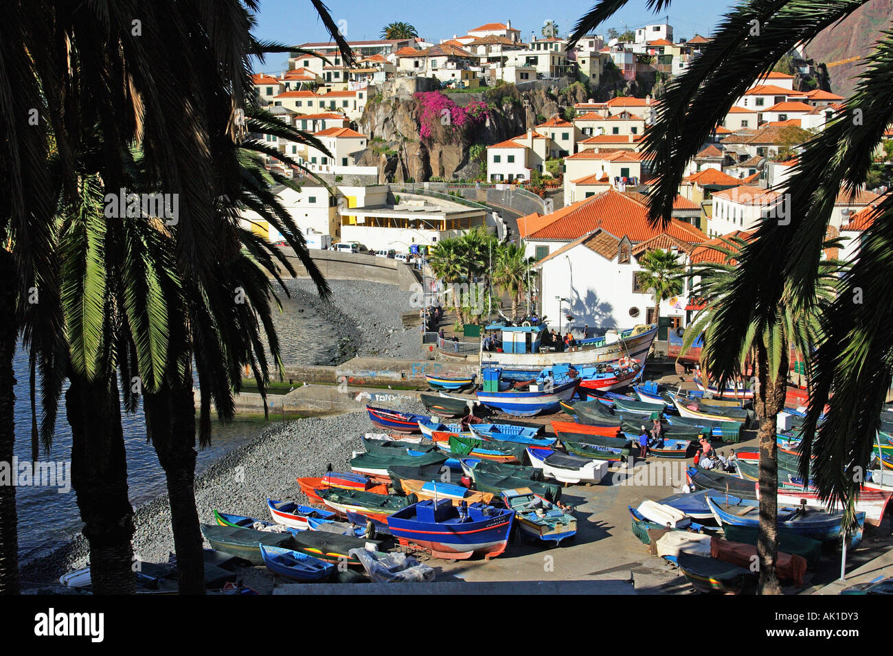 Camara de Lobos Banque D'Images