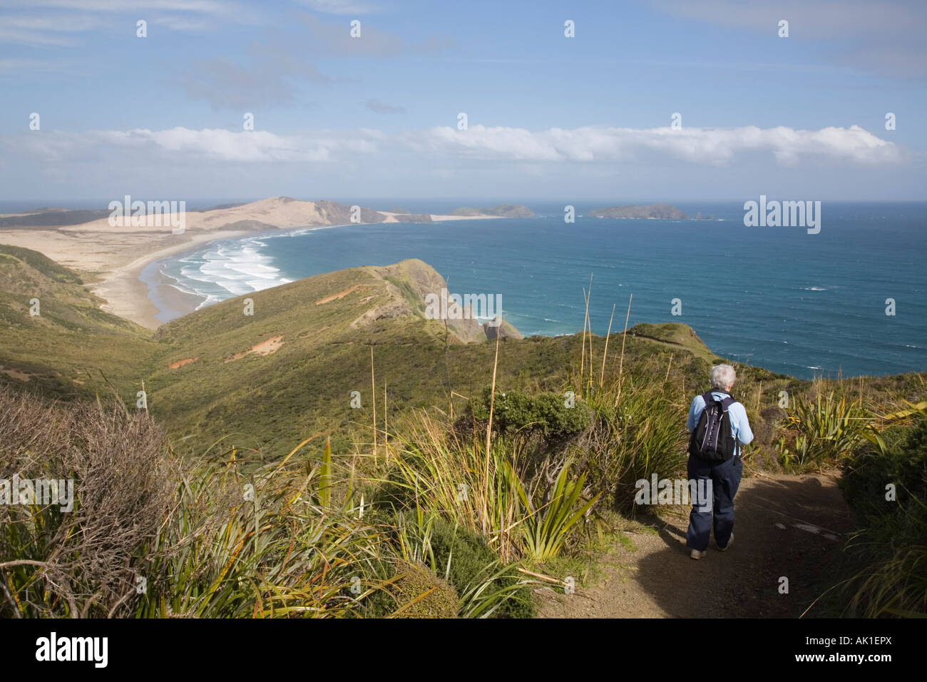 Walker sur la côte du cap Reinga Te Paki allée en réserve et voir à Te Werahi Strand Beach et Cape Point Maria Van Diemen Banque D'Images