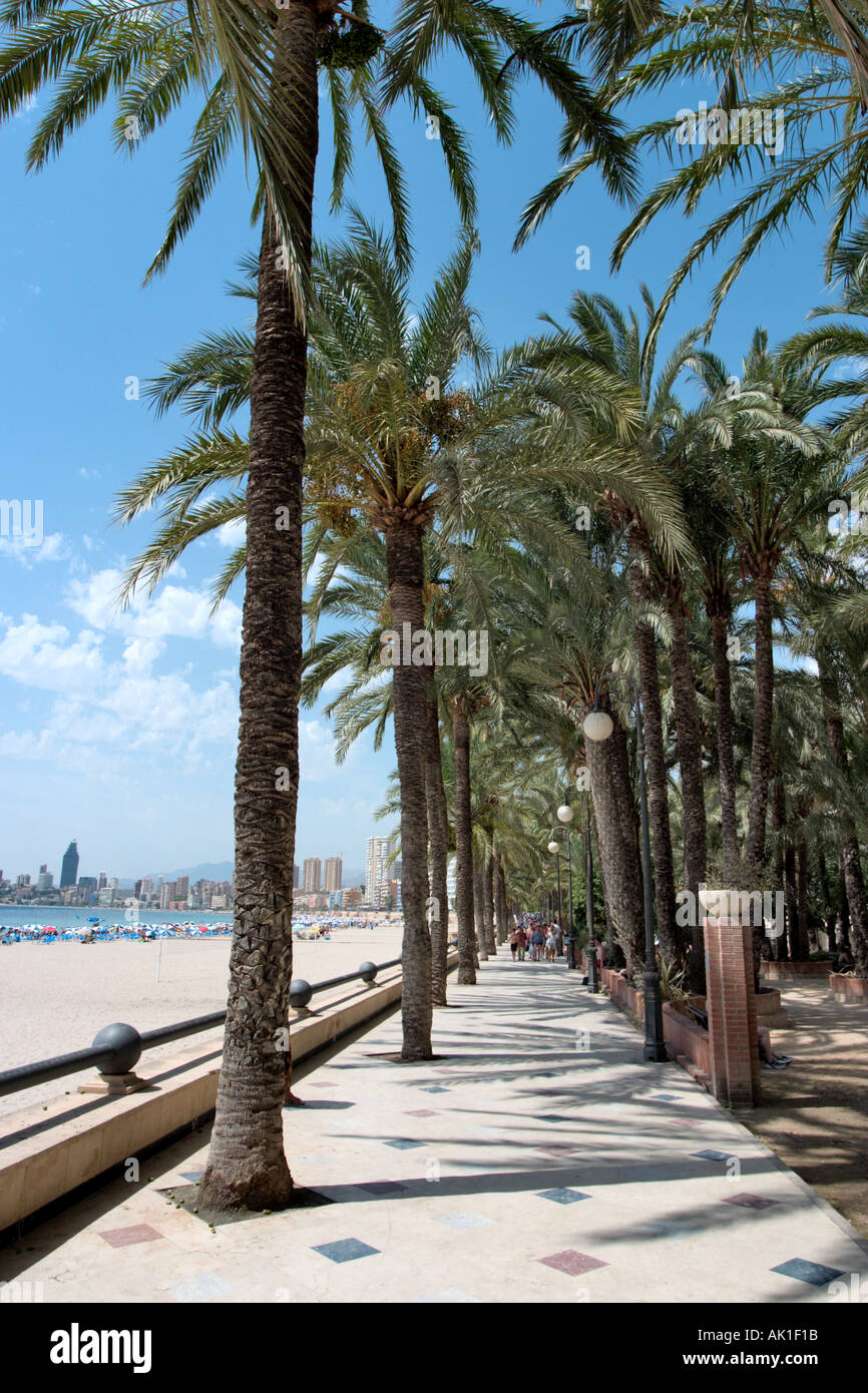 Parque de Elche et Playa de Poniente, Benidorm, Costa Blanca, Espagne Banque D'Images