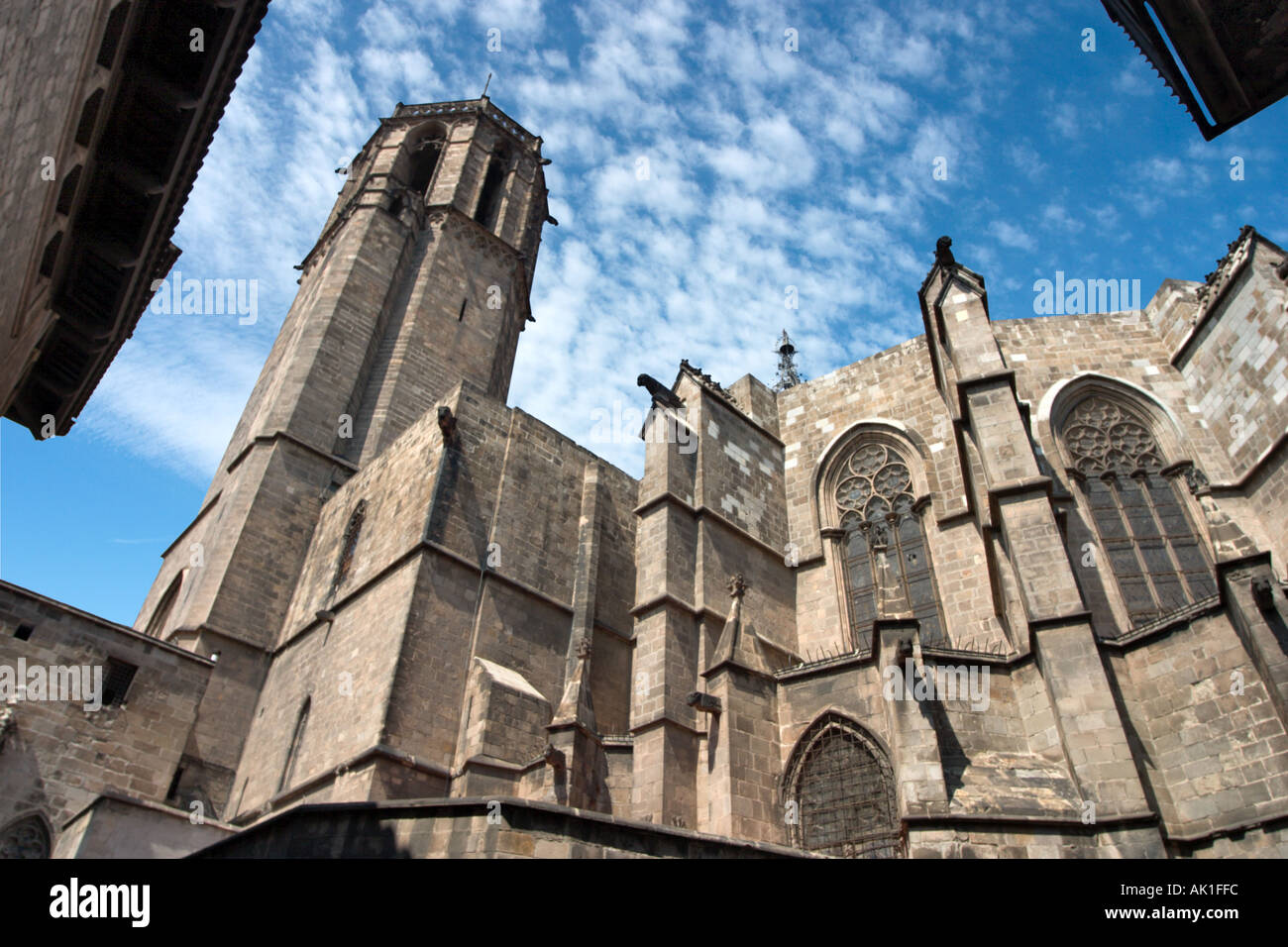 Cathédrale (La Seu), Barri Gotic (Quartier Gothique), Barcelone, Catalogne, Espagne Banque D'Images