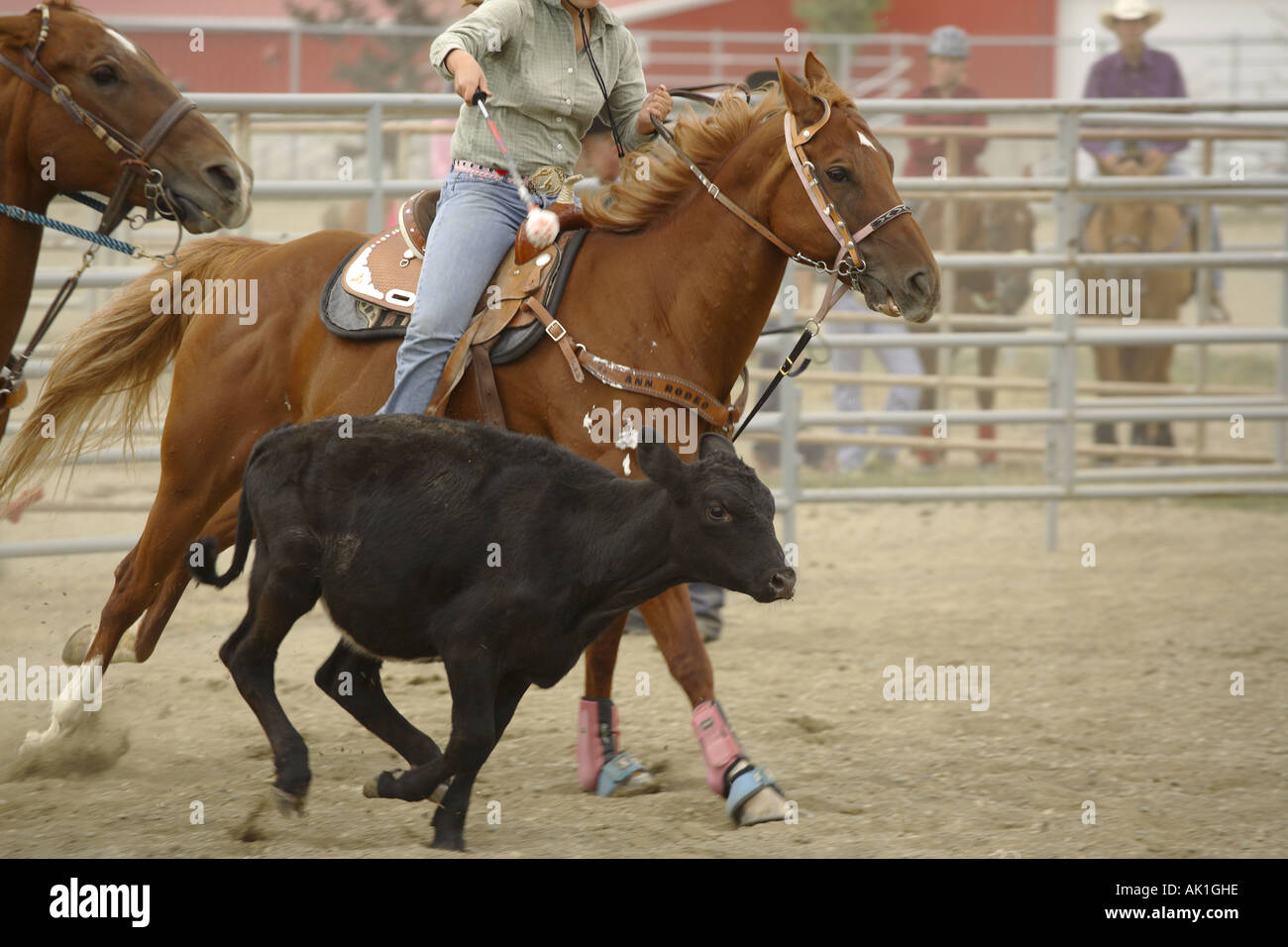 North American High School Rodeo Banque D'Images