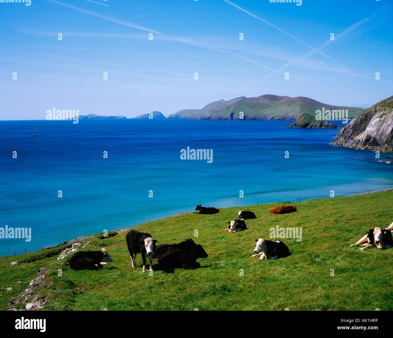 Slea Head, Îles Blasket, comté de Kerry, Irlande Banque D'Images