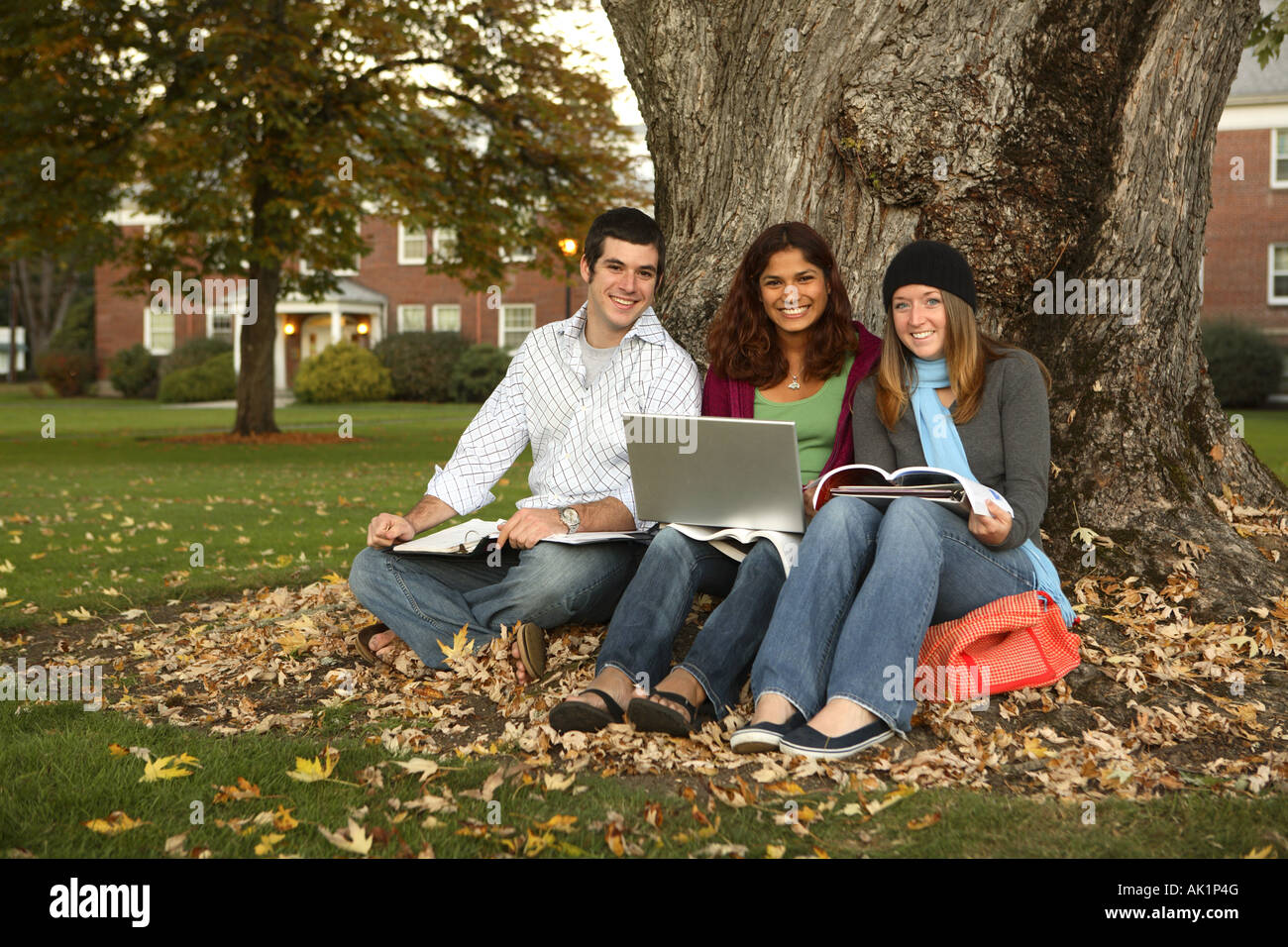 Groupe d'étudiants assis par un arbre Banque D'Images