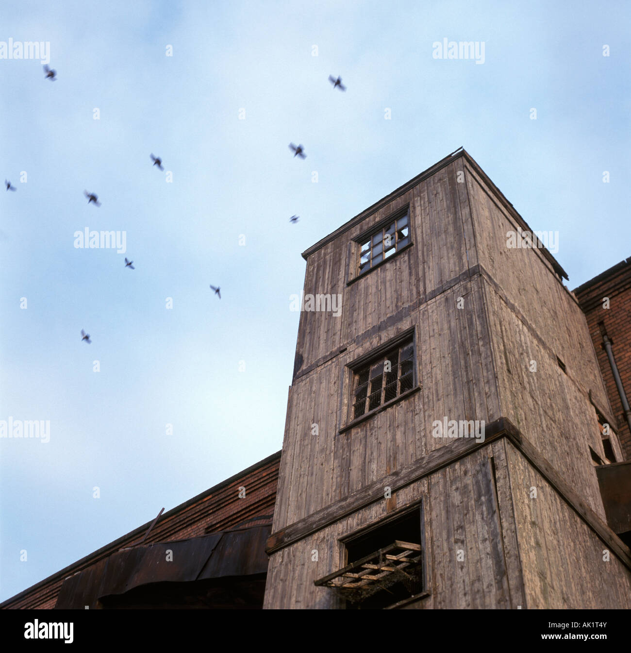 Entrepôt abandonné avec les pigeons qui survolent - Nottingham, Royaume-Uni Banque D'Images