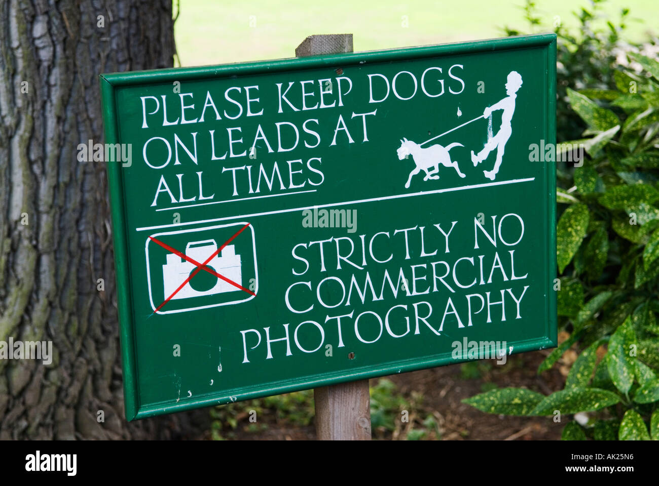 Thay signe dit [Veuillez Maintenir les chiens sur les pistes en tout temps] et [pas] la photographie commerciale North Norfolk Angleterre Banque D'Images