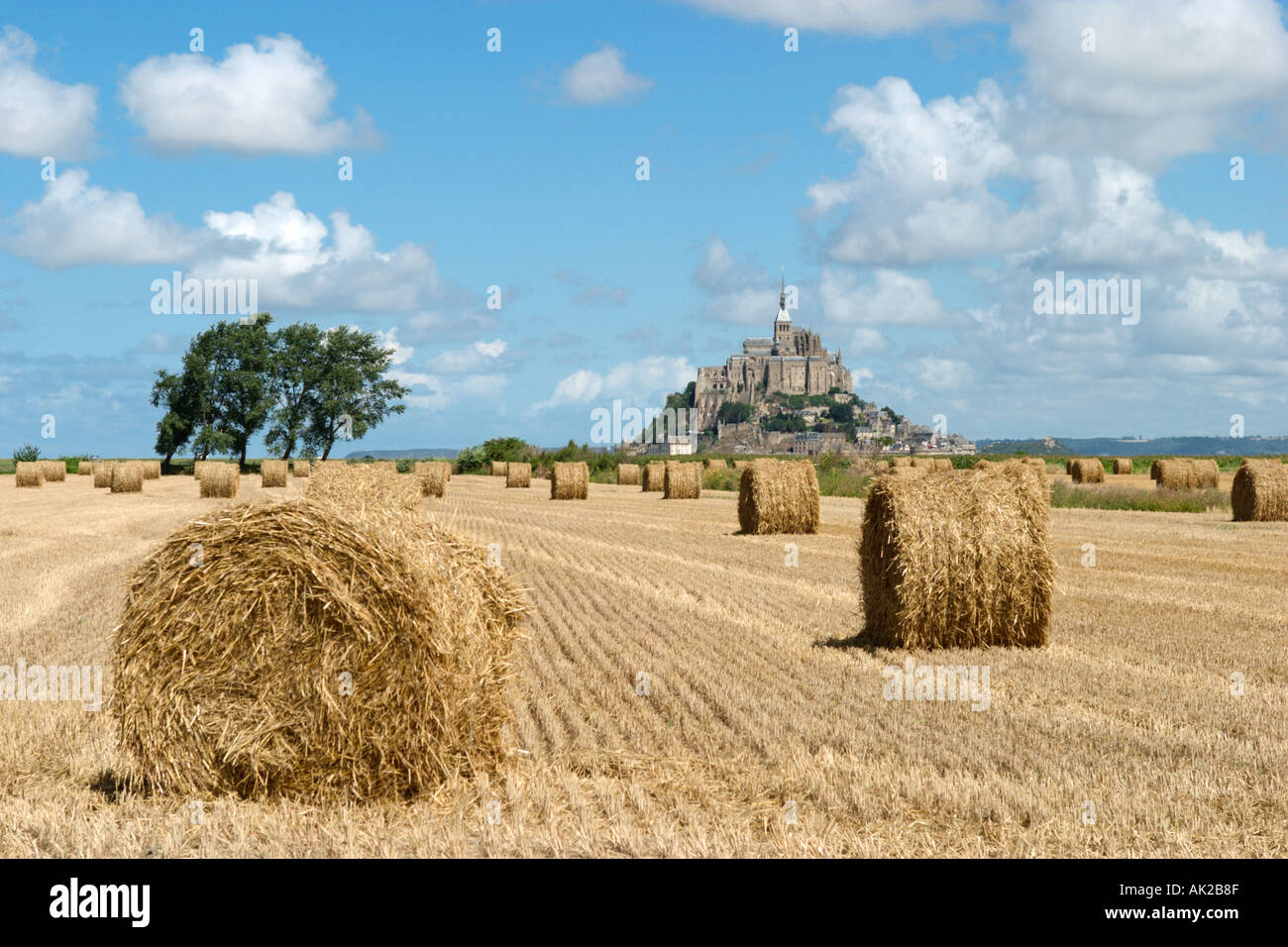 Vue sur le Mont Saint-Michel à travers champs fraîchement récoltés, Normandie, France Banque D'Images
