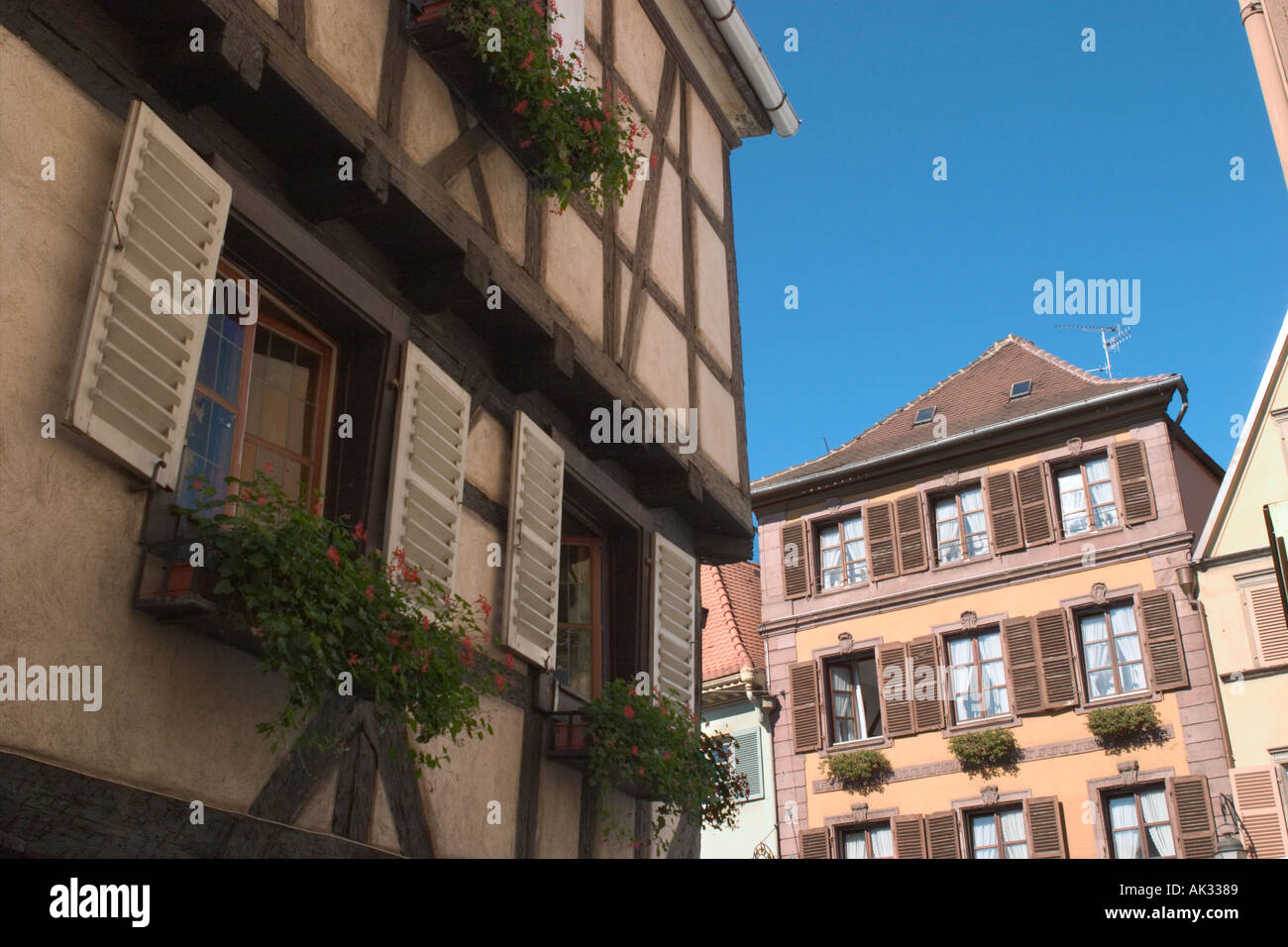 Maisons traditionnelles, Colmar, Alsace, France Banque D'Images