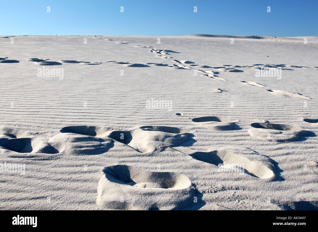 Plage de sable blanc sur avec des empreintes, Assateague Island National Seashore Banque D'Images