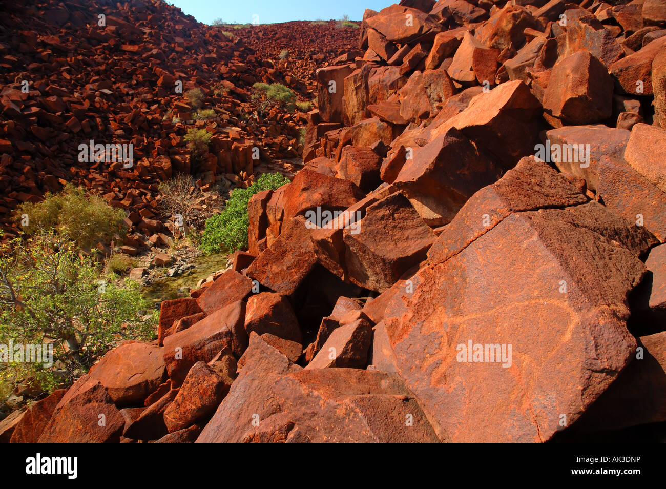 Les animaux gravés dans la pierre. Site d'art rupestre autochtones anciennes de gorges profondes Burrup Peninsula Australie Occidentale Banque D'Images