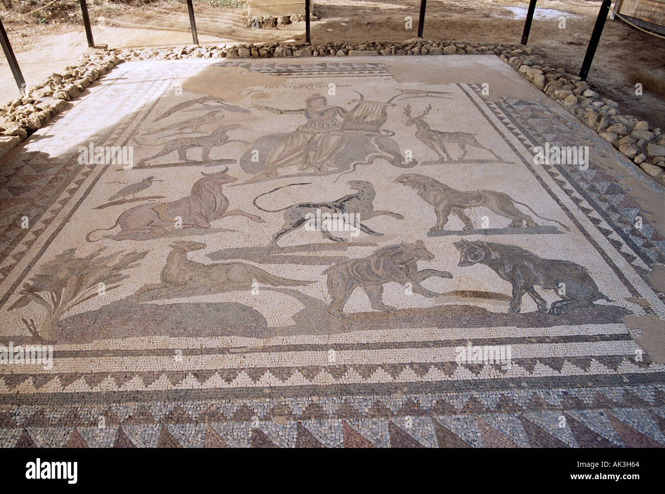 Mosaïque d'Orphée et les bêtes de la Villa romaine d'Orphée dans la vieille ville de Paphos, Chypre Banque D'Images