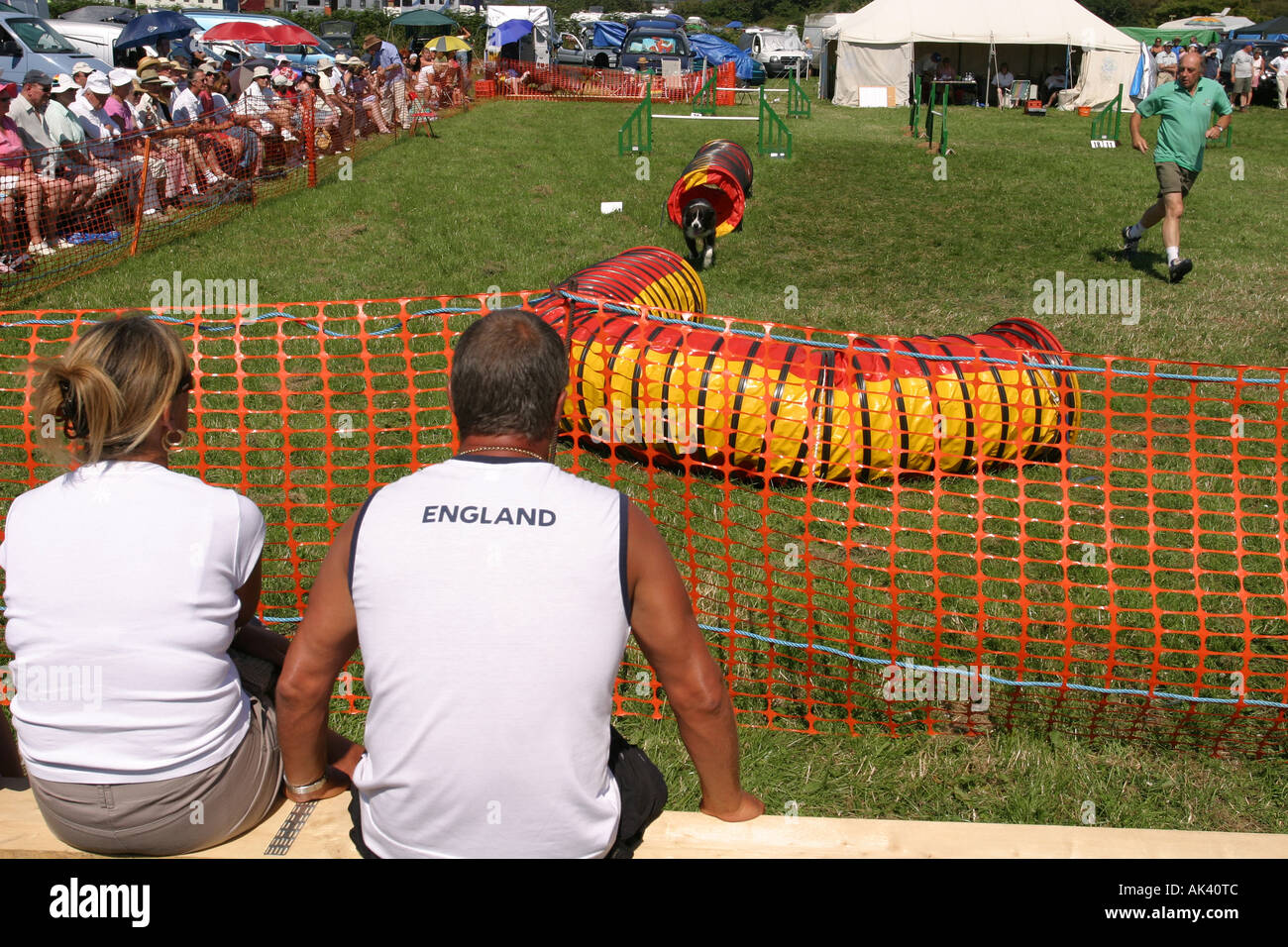 Chien affichage à l'exposition agricole locale UK Banque D'Images