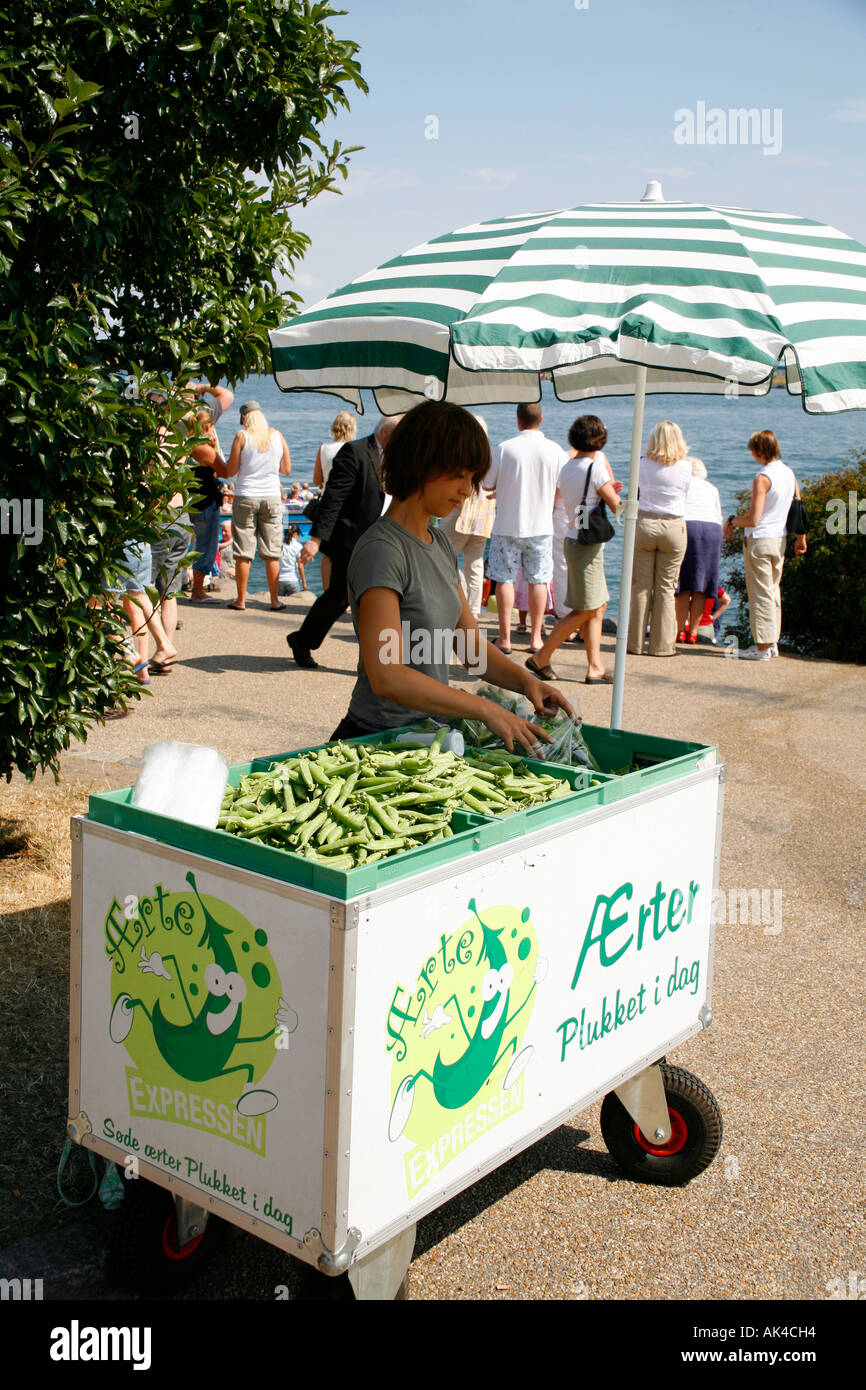 Haricots verts en vente comme un en-cas à Copenhague, Danemark Banque D'Images